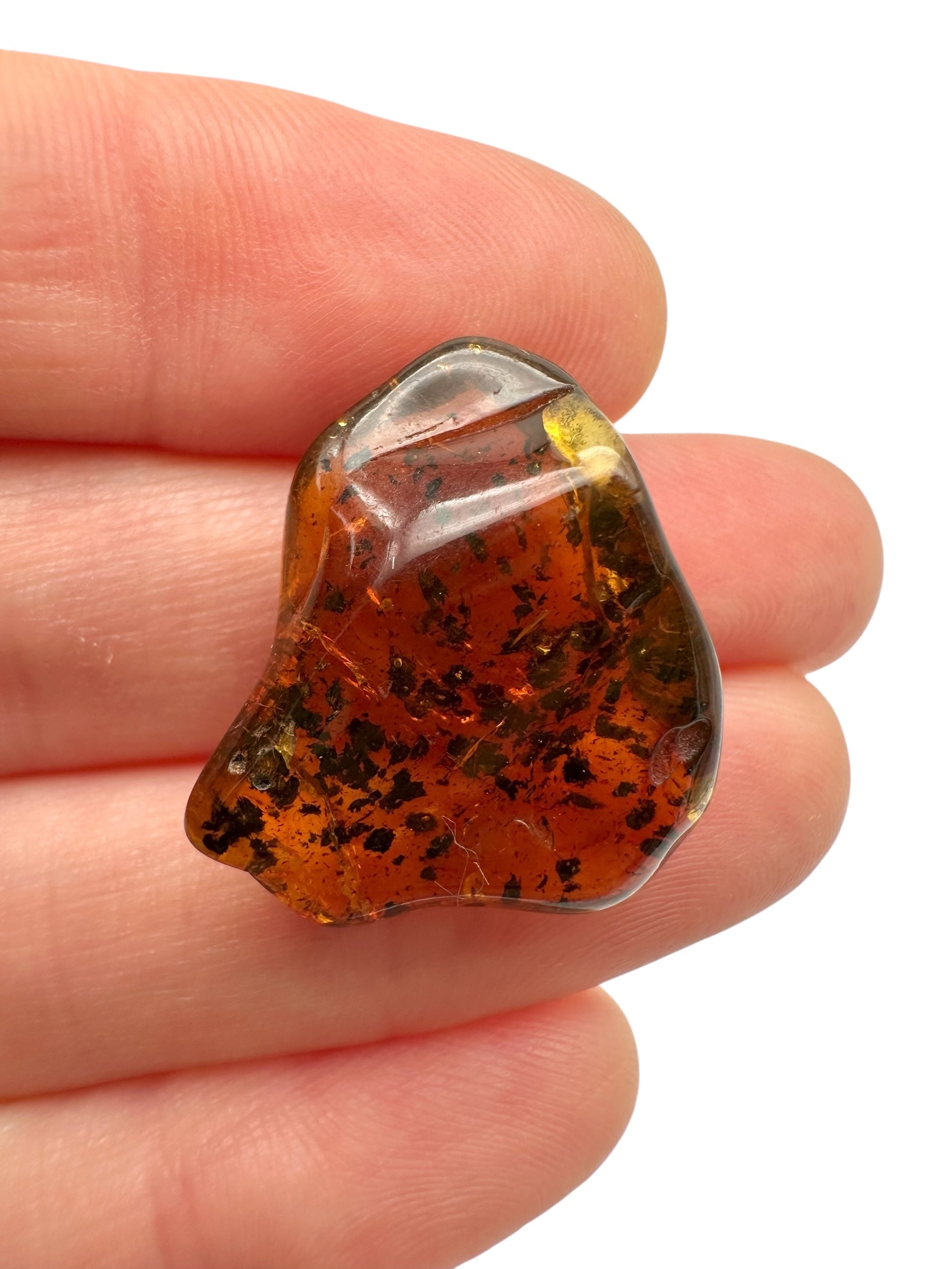 Amber – Lithuania – 1,8g - JN417