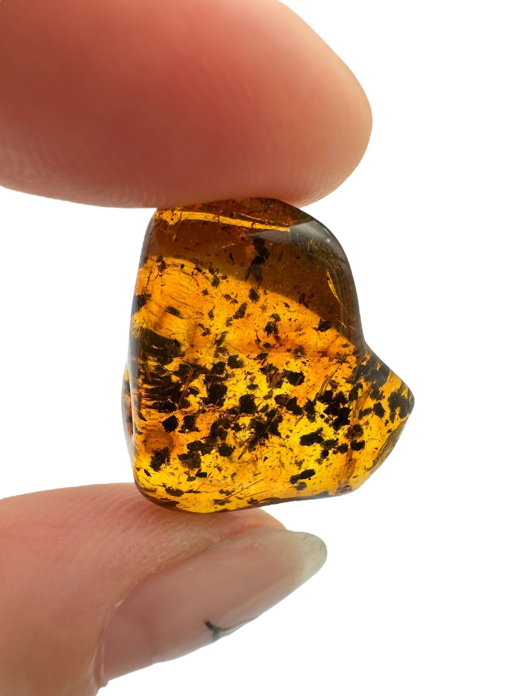 Amber – Lithuania – 1,8g - JN417