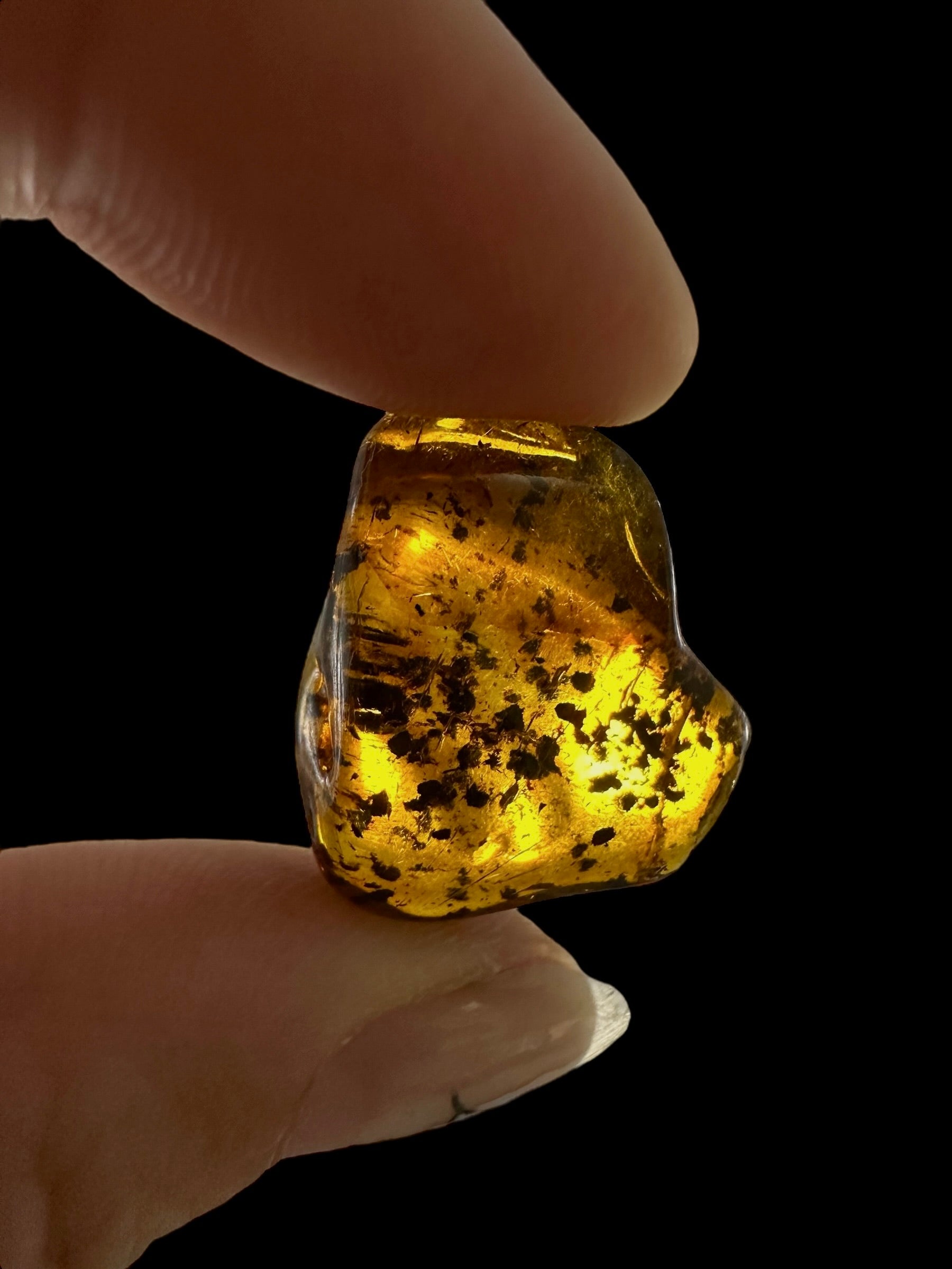 Amber – Lithuania – 1,8g - JN417