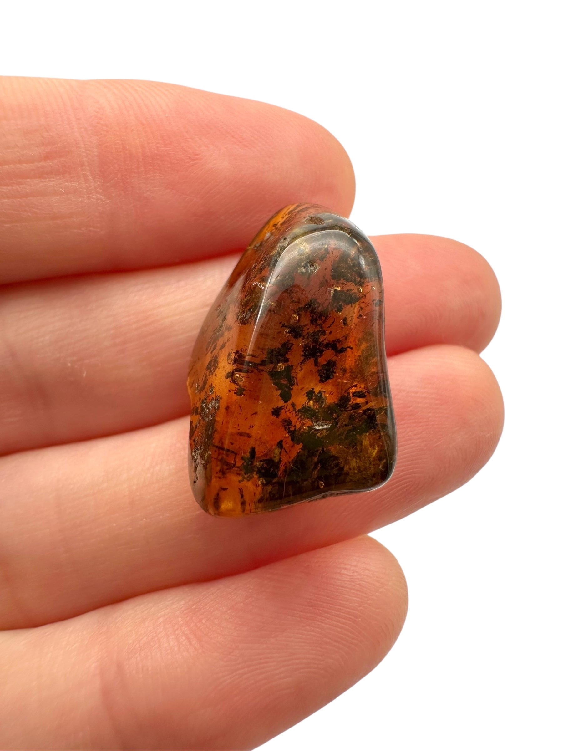 Amber – Lithuania – 2g - JN419