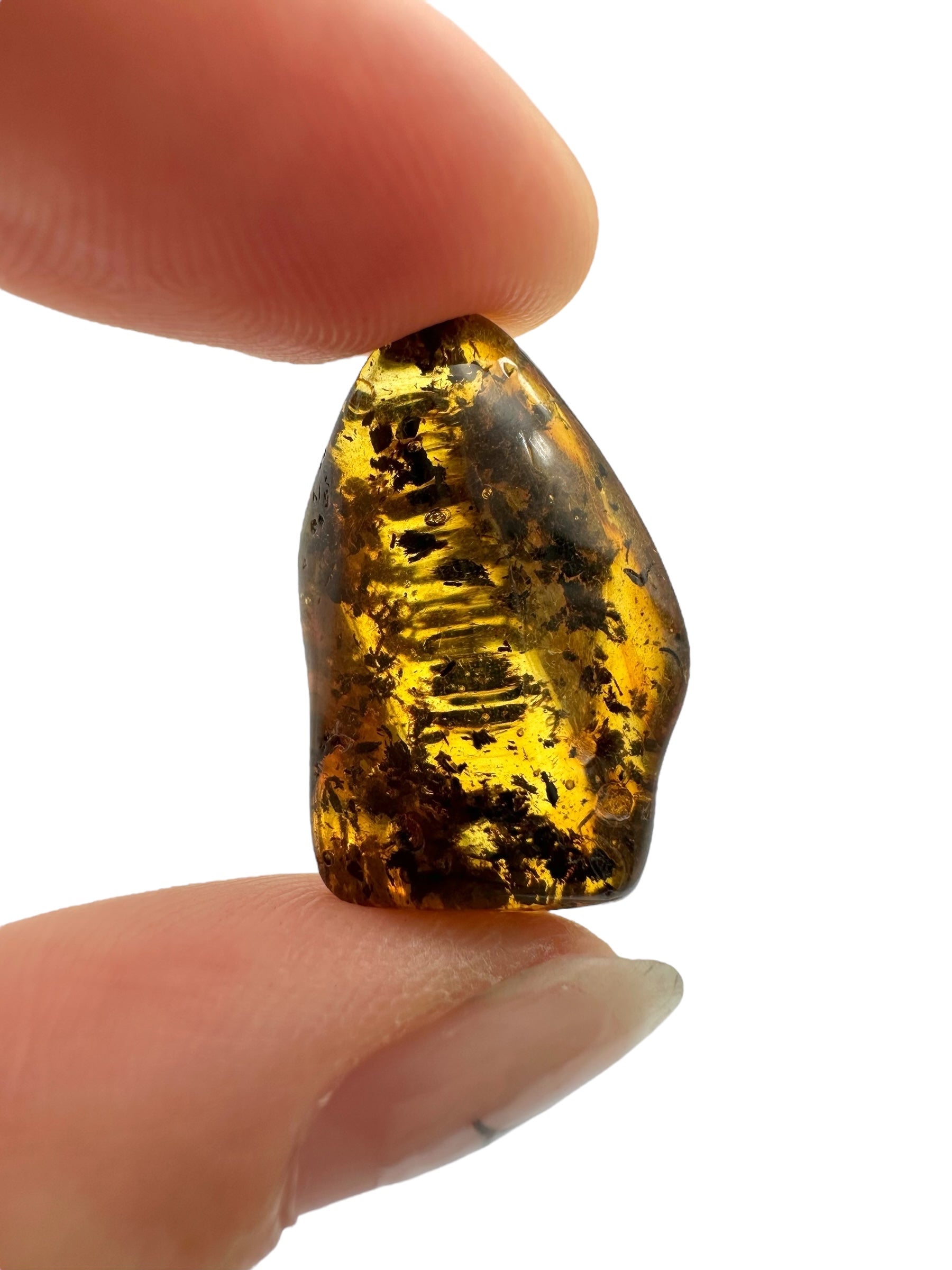 Amber – Lithuania – 2g - JN419