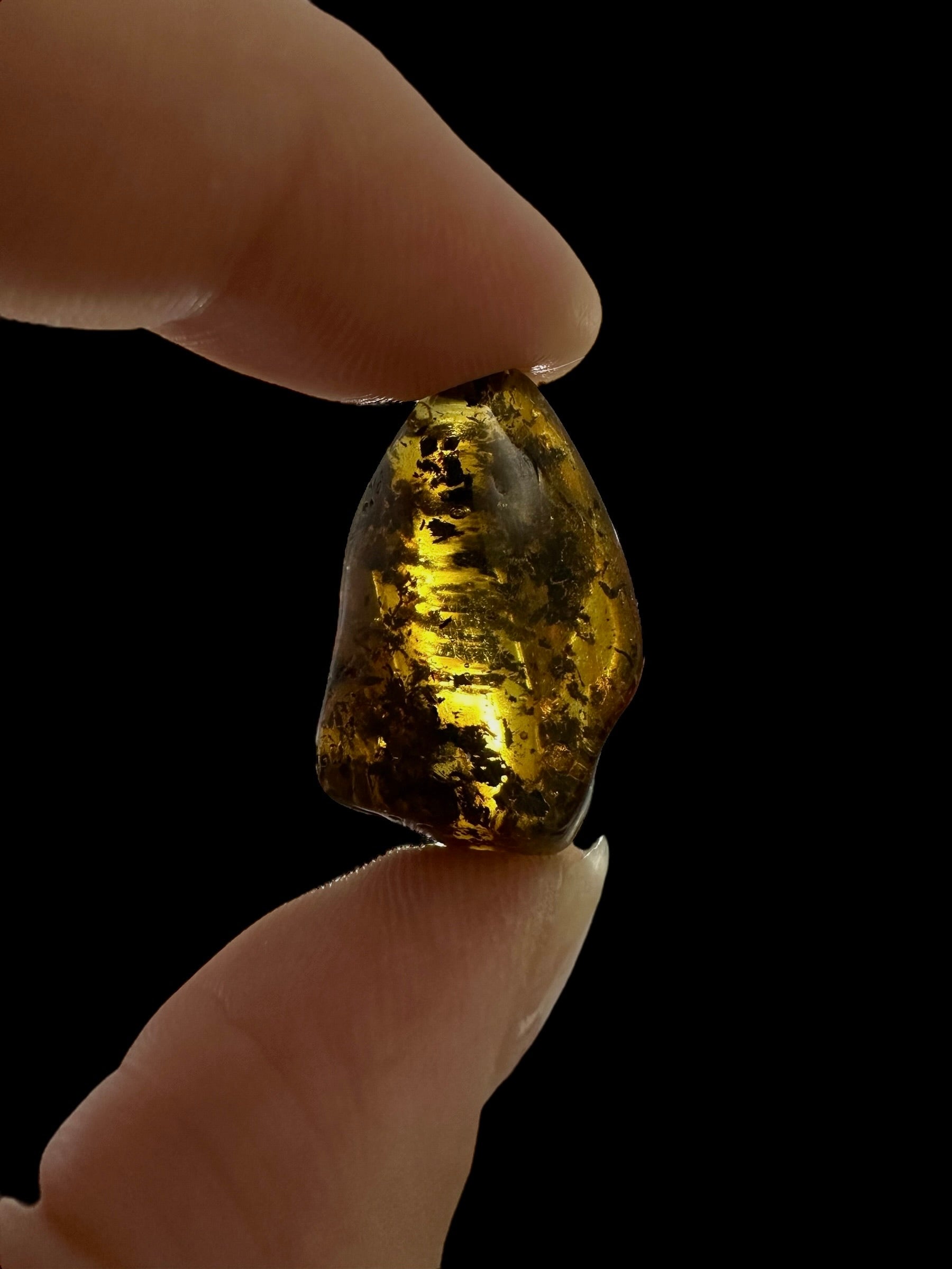 Amber – Lithuania – 2g - JN419