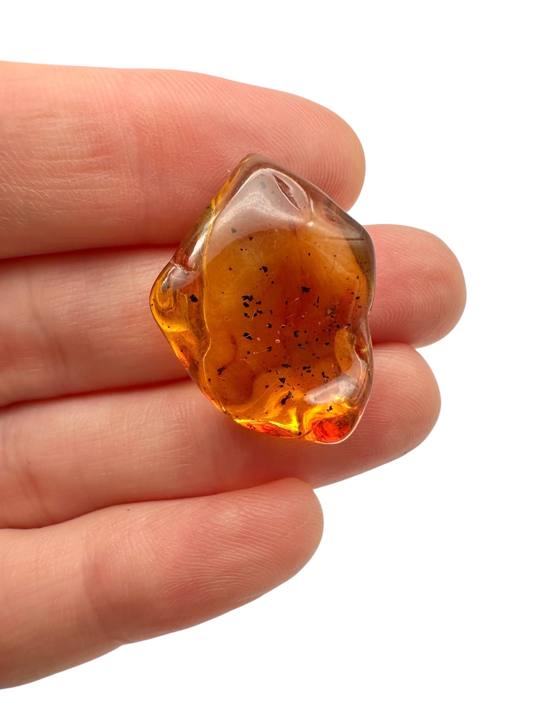 Amber – Lithuania – 2g - JN420