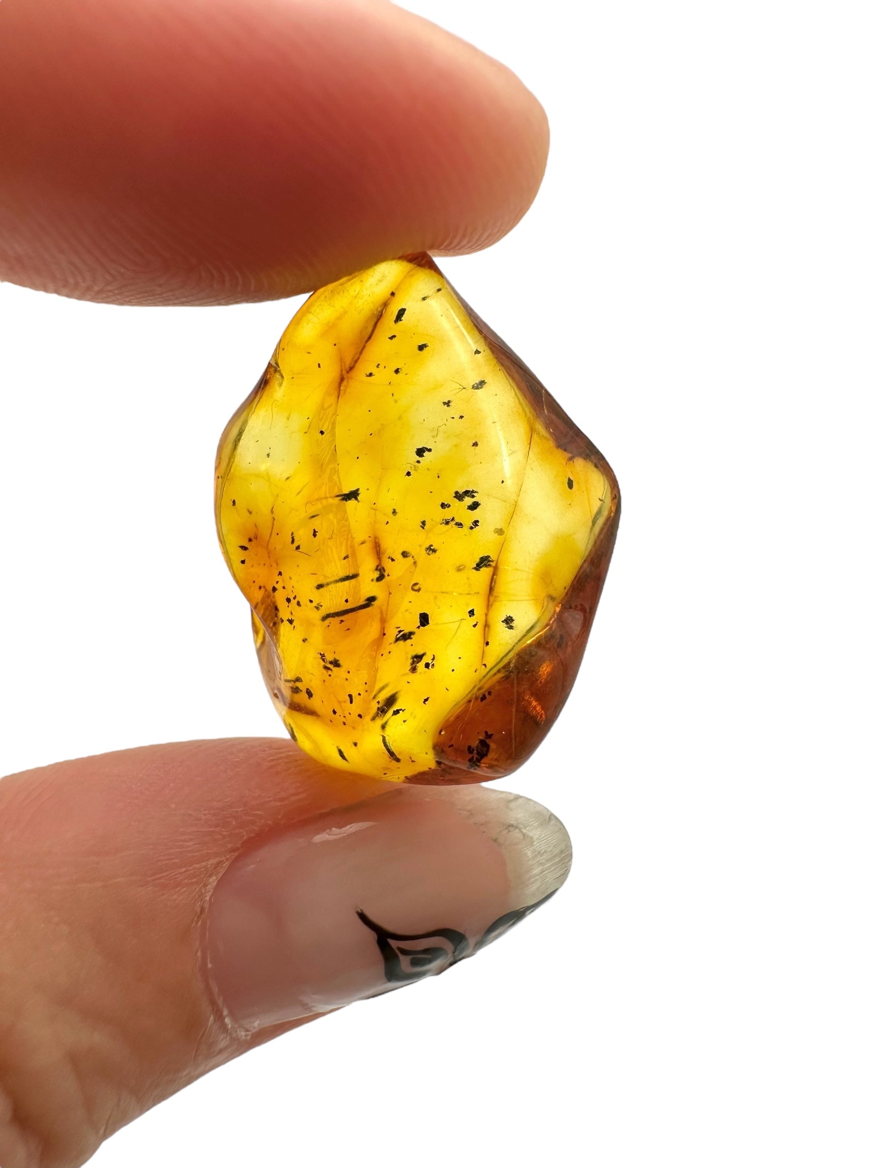 Amber – Lithuania – 2g - JN420
