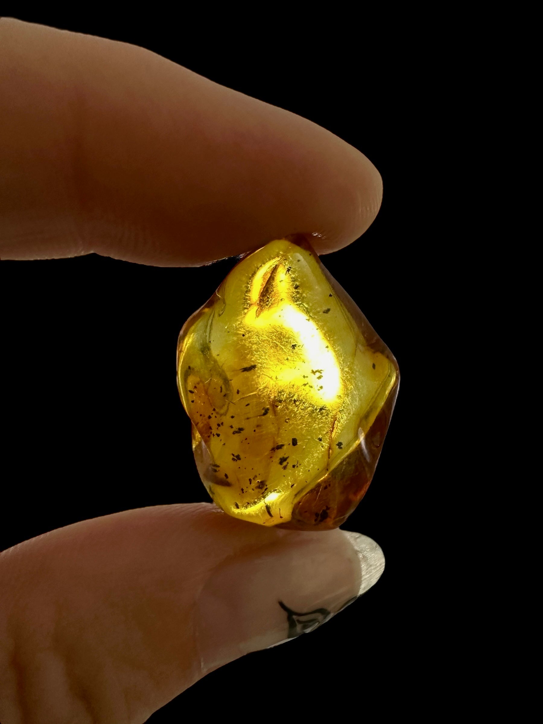 Amber – Lithuania – 2g - JN420