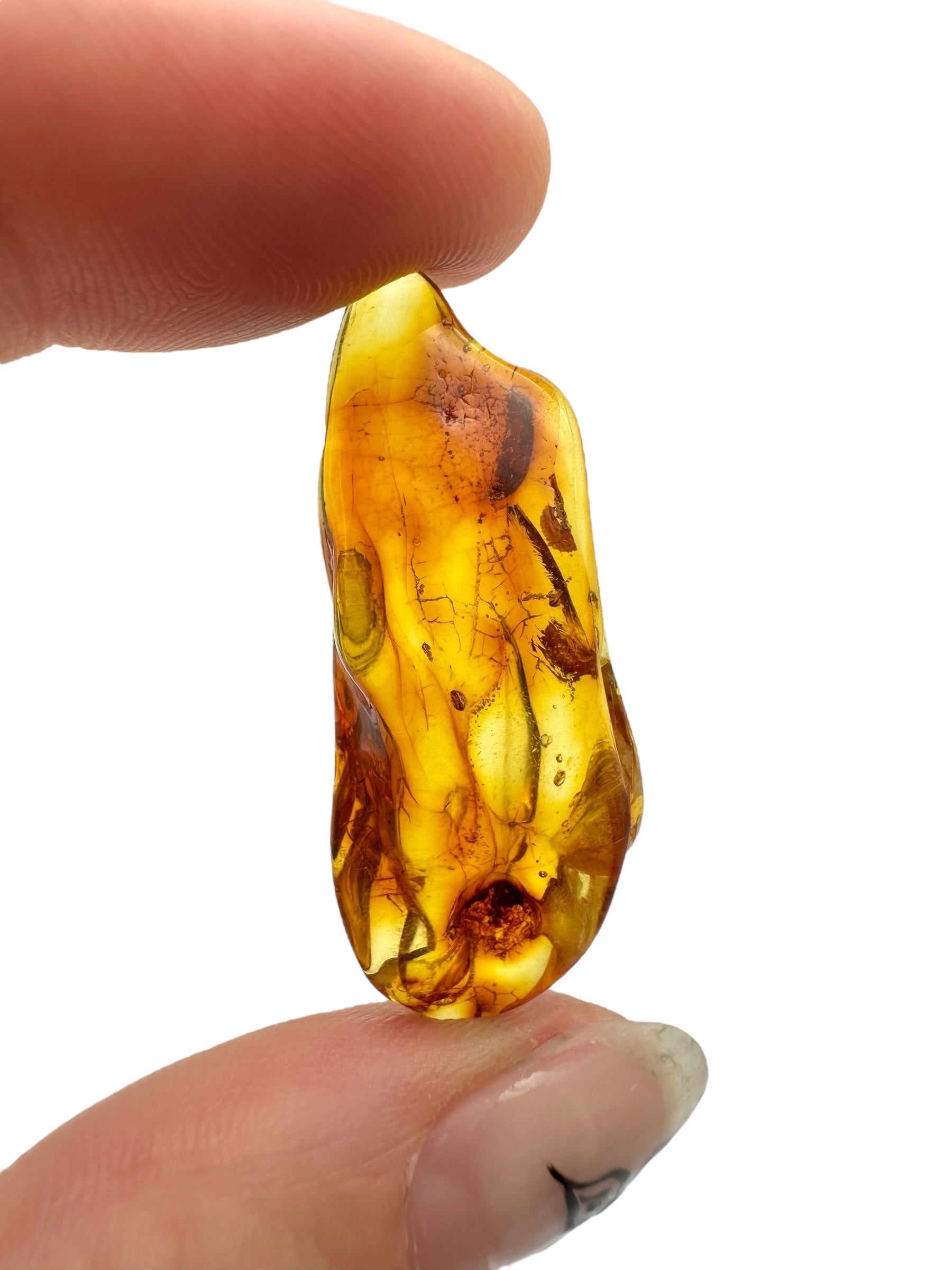 Amber – Lithuania – 2,2g - JN421