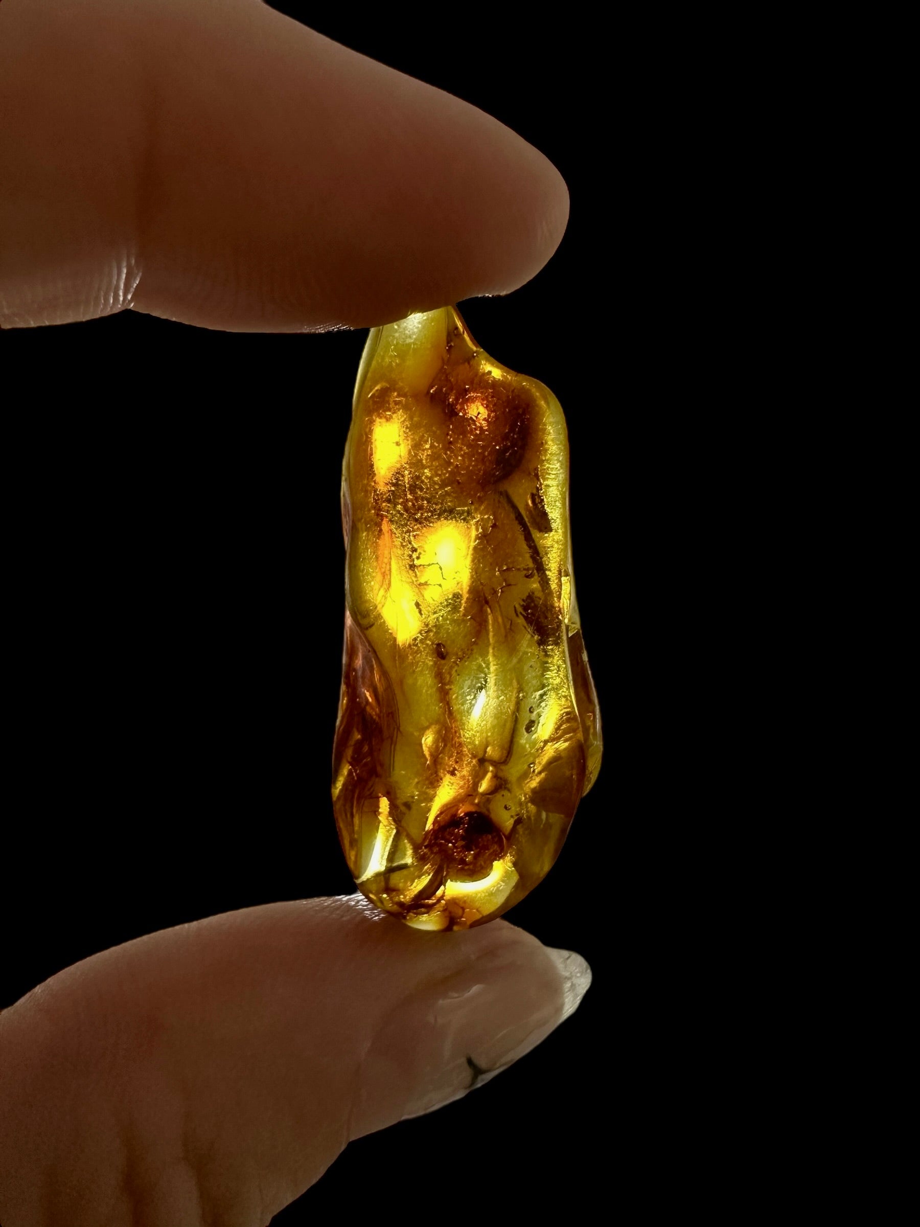 Amber – Lithuania – 2,2g - JN421