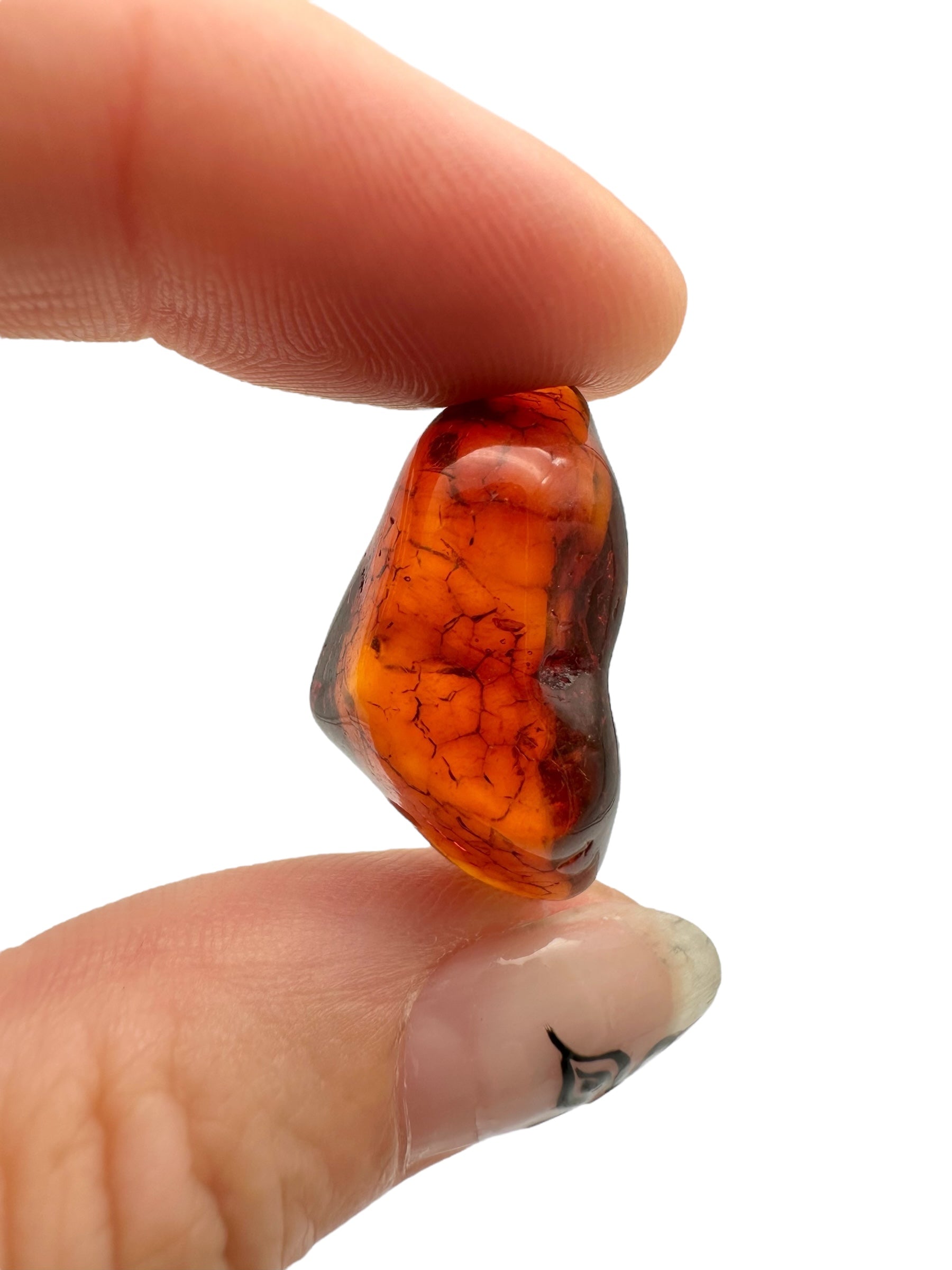Amber – Lithuania – 1,8g - JN422