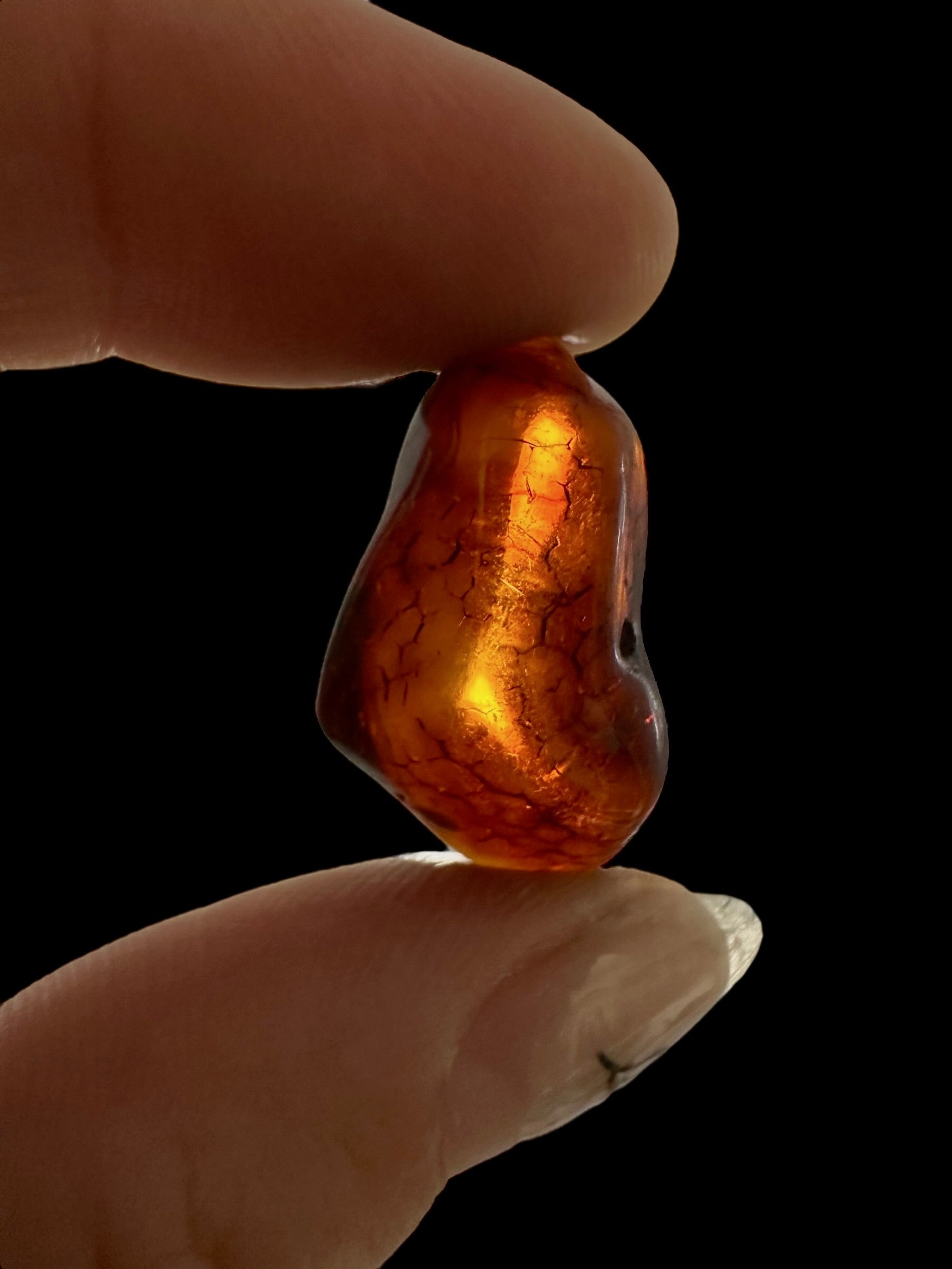 Amber – Lithuania – 1,8g - JN422