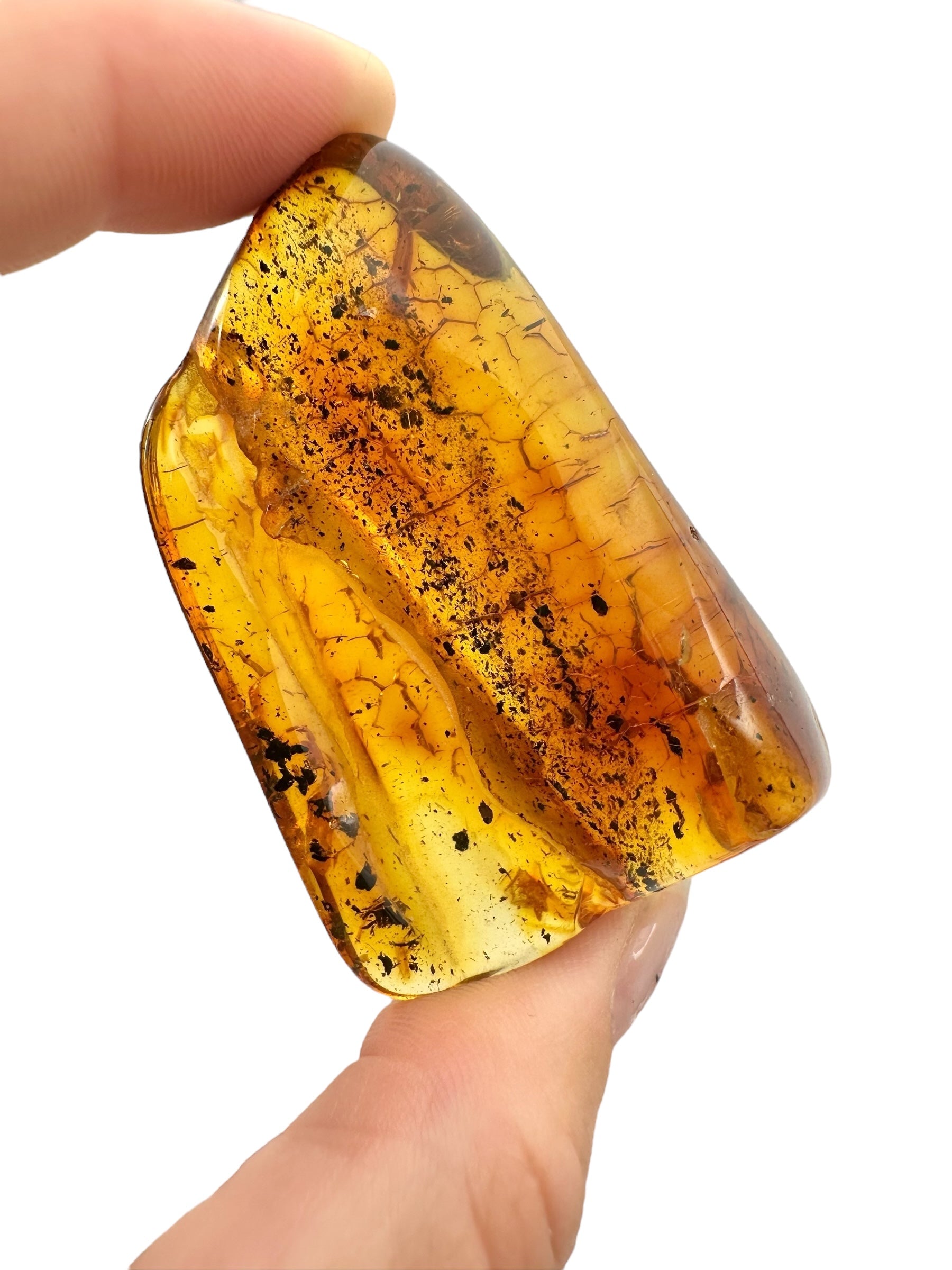 Amber – Lithuania – 20,6g – Extra quality - JN429
