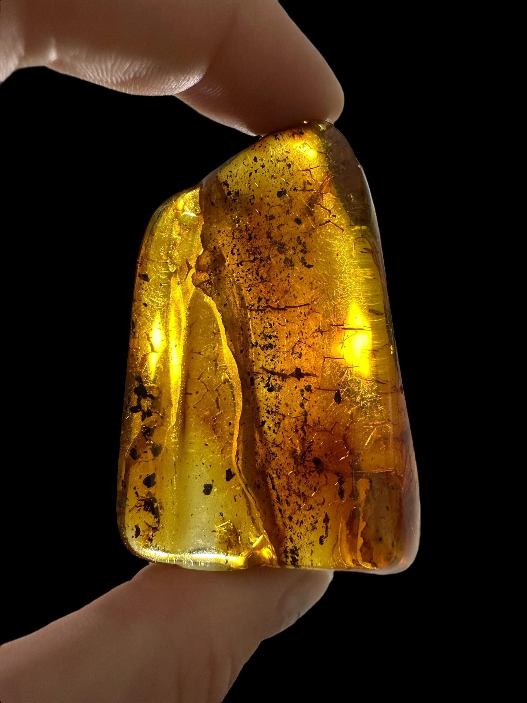 Amber – Lithuania – 20,6g – Extra quality - JN429