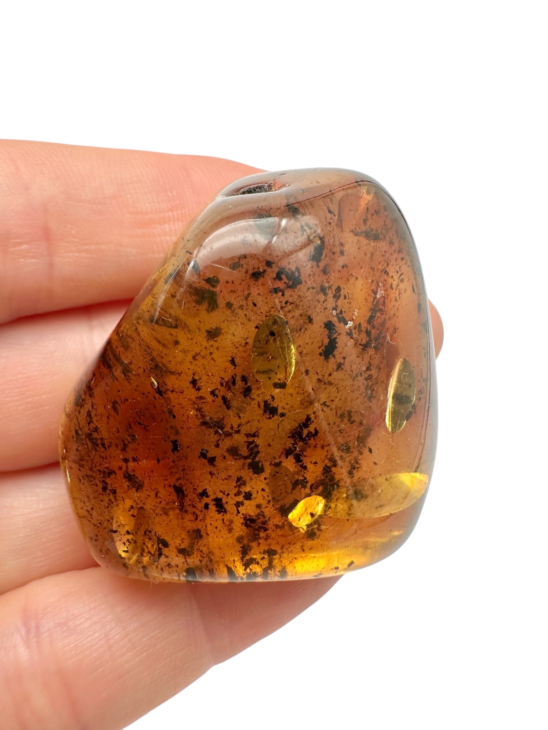 Amber – Lithuania – 18,3g – Extra quality