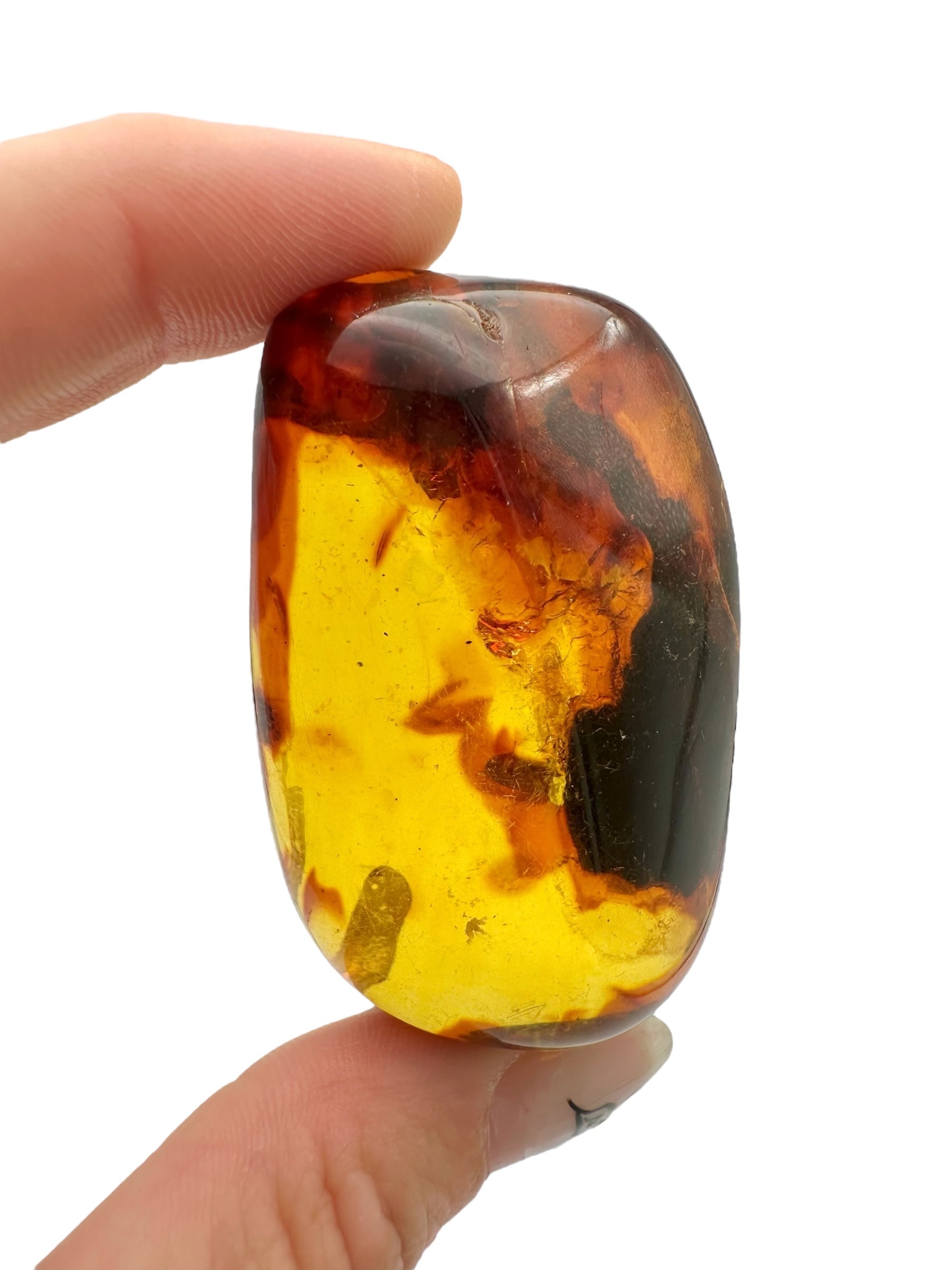 Amber – Lithuania – 25,7g – Extra quality - JN435