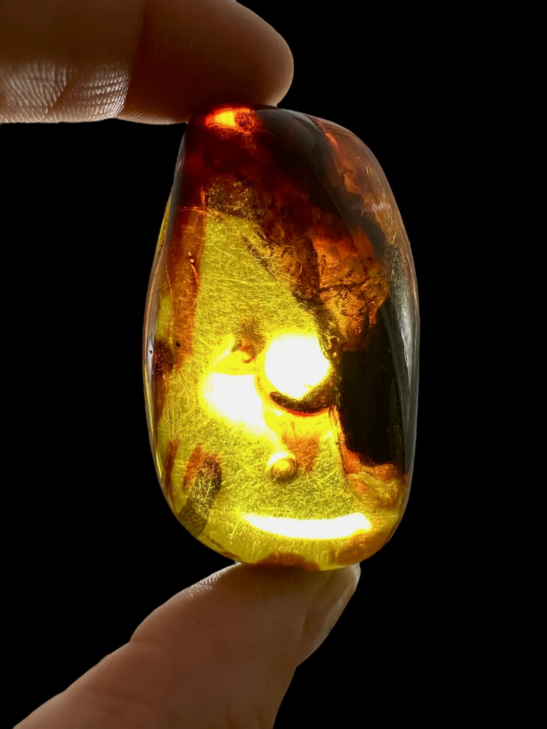 Amber – Lithuania – 25,7g – Extra quality - JN435