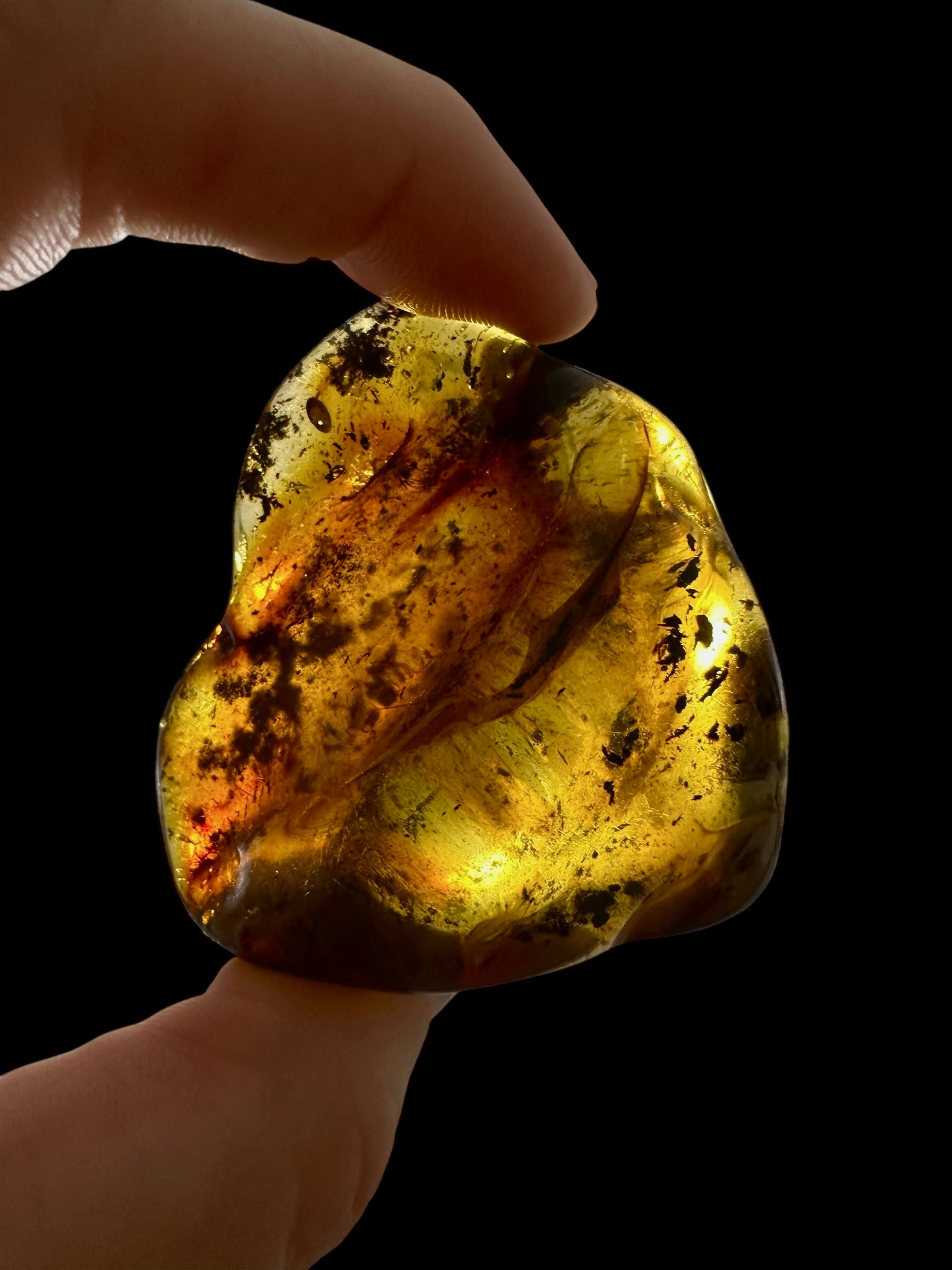 Amber – Lithuania – 30,3g – Extra quality - JN437