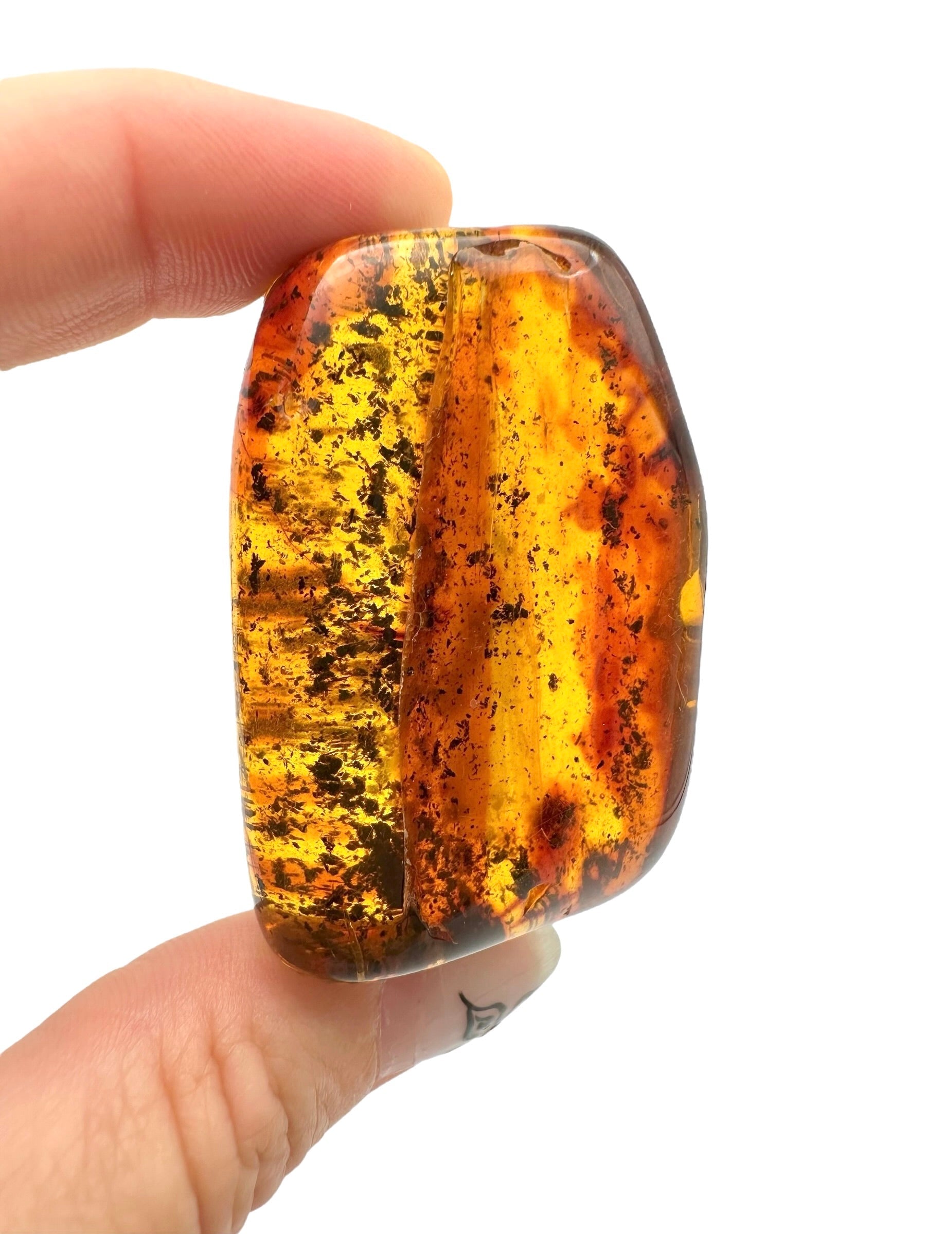 Amber – Lithuania – 22g – Extra quality - JN438