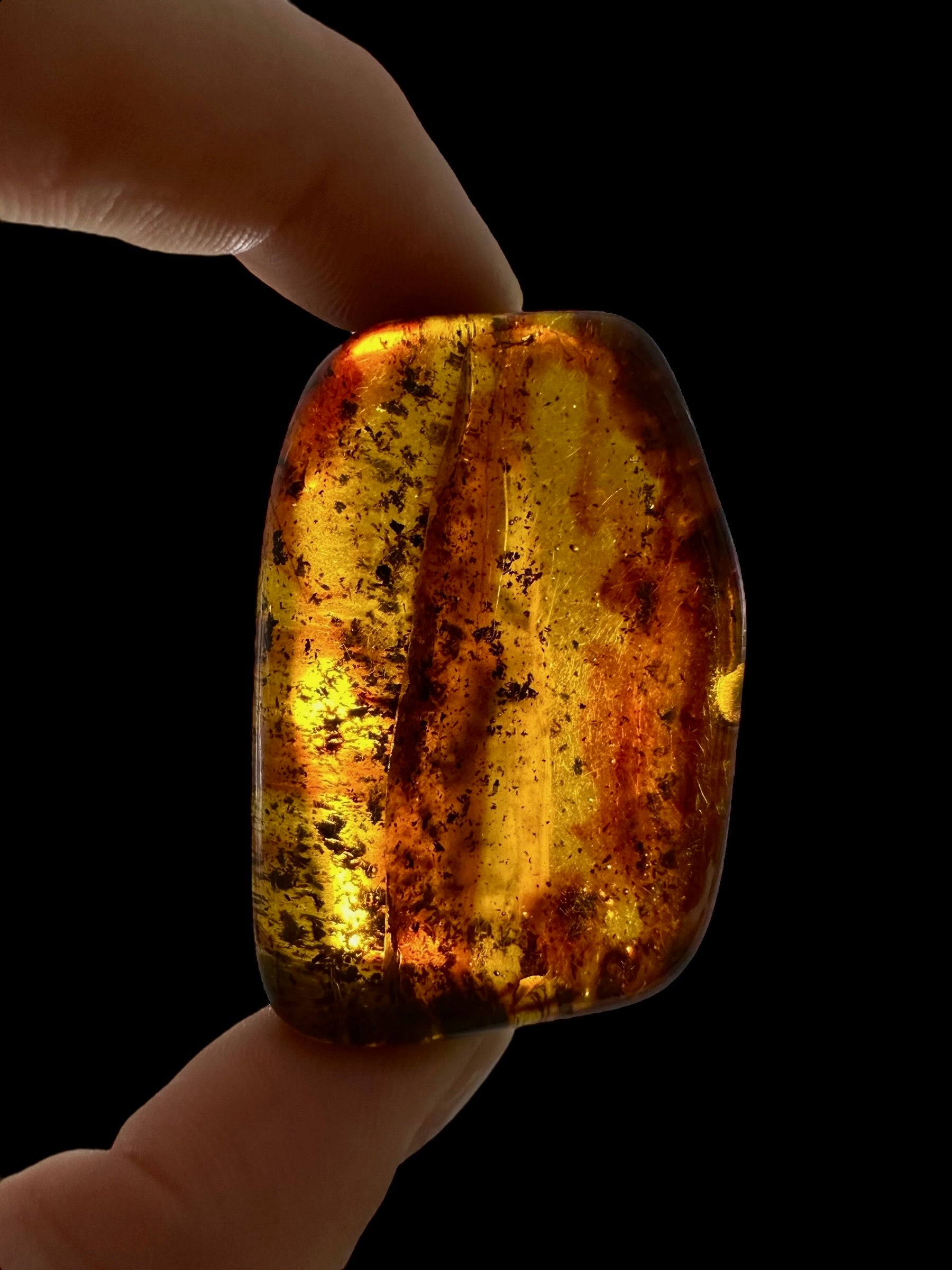 Amber – Lithuania – 22g – Extra quality - JN438