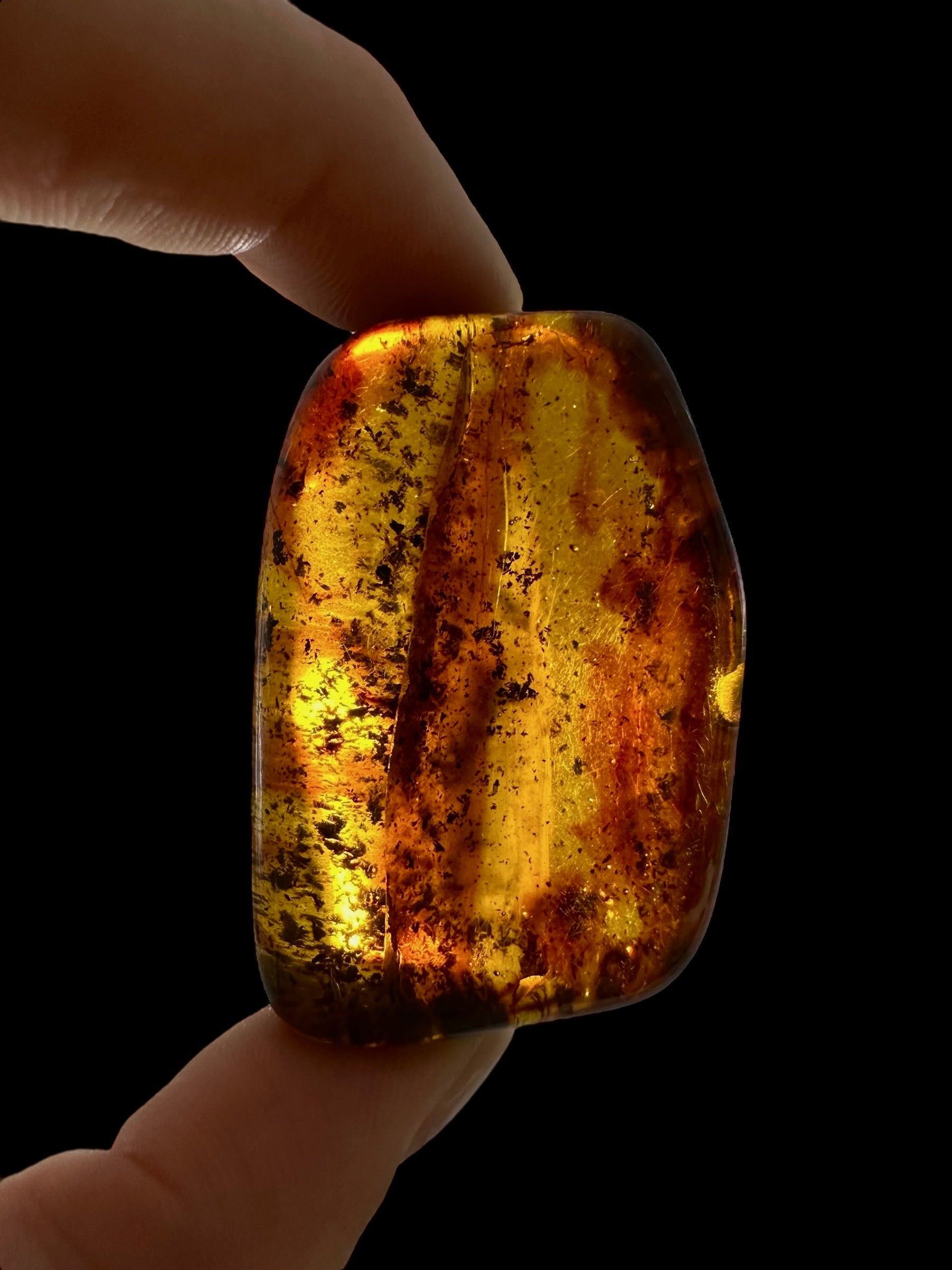 Amber – Lithuania – 22g – Extra quality - JN438