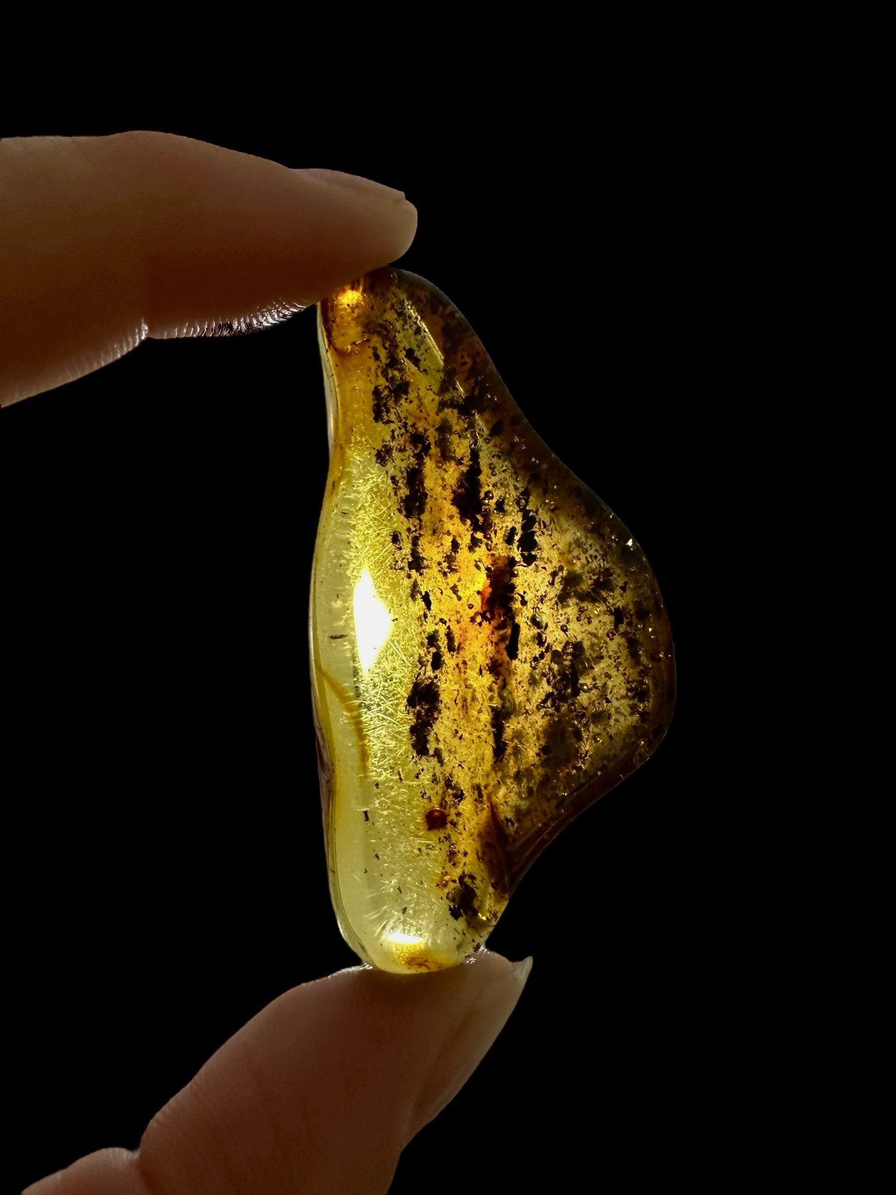 Amber – Lithuania – 10,2g – Extra quality - JN439