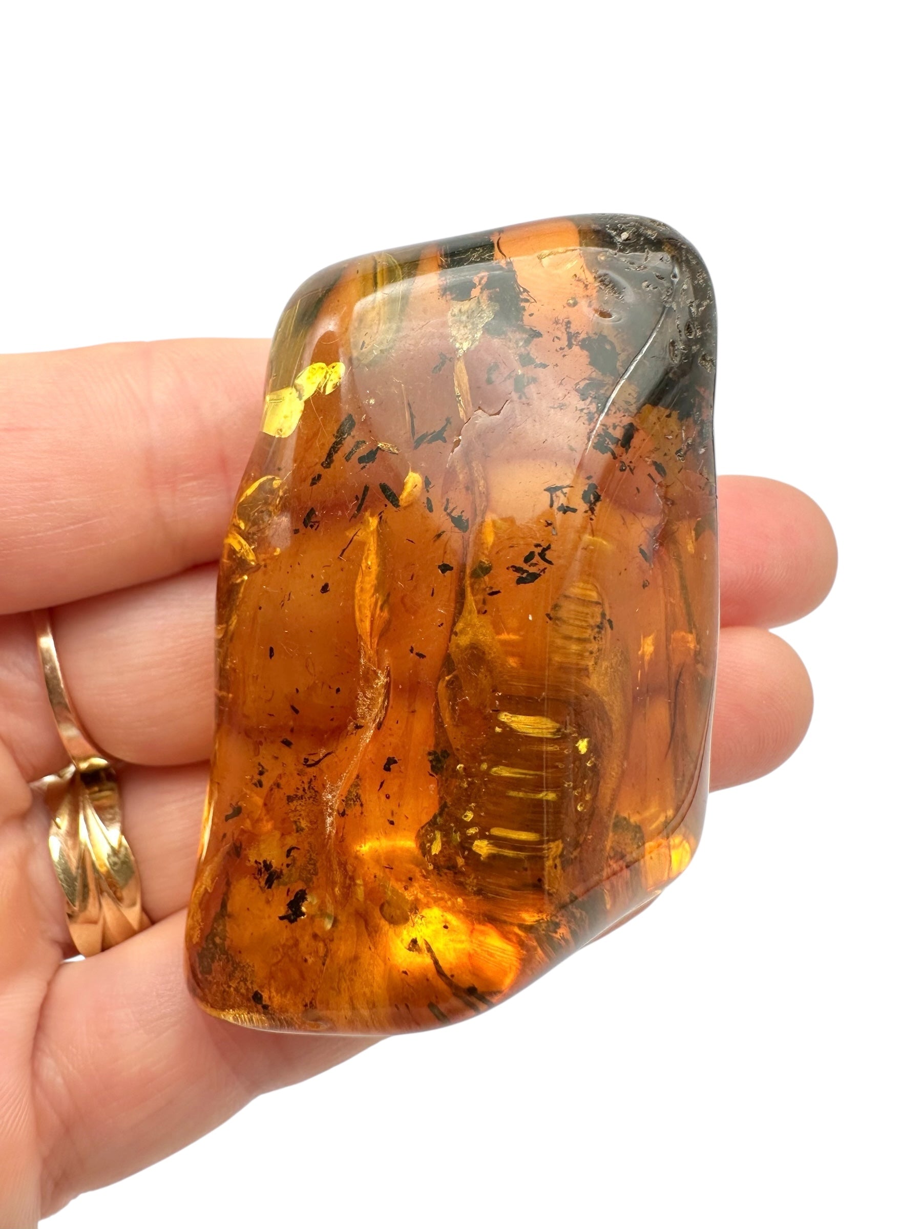Amber – Lithuania – 26,5g – Extra quality - JN441