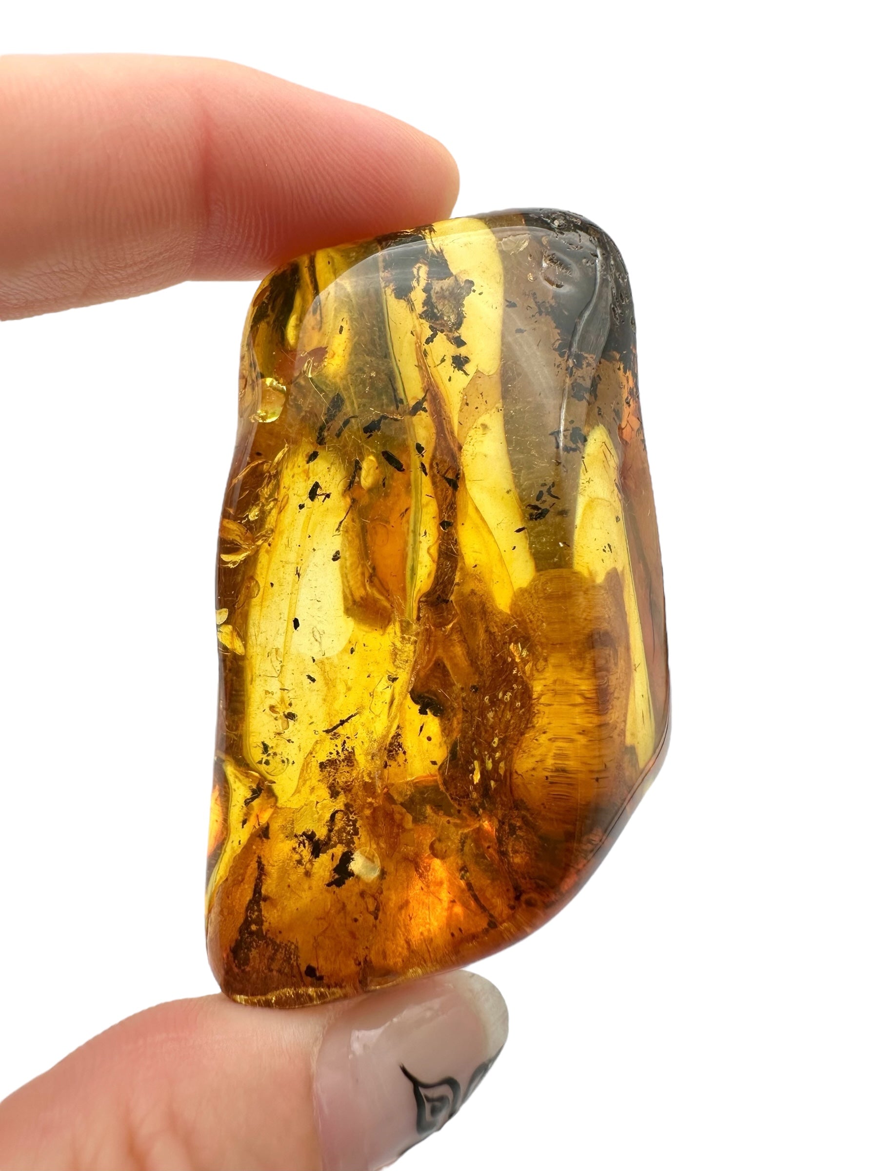Amber – Lithuania – 26,5g – Extra quality - JN441