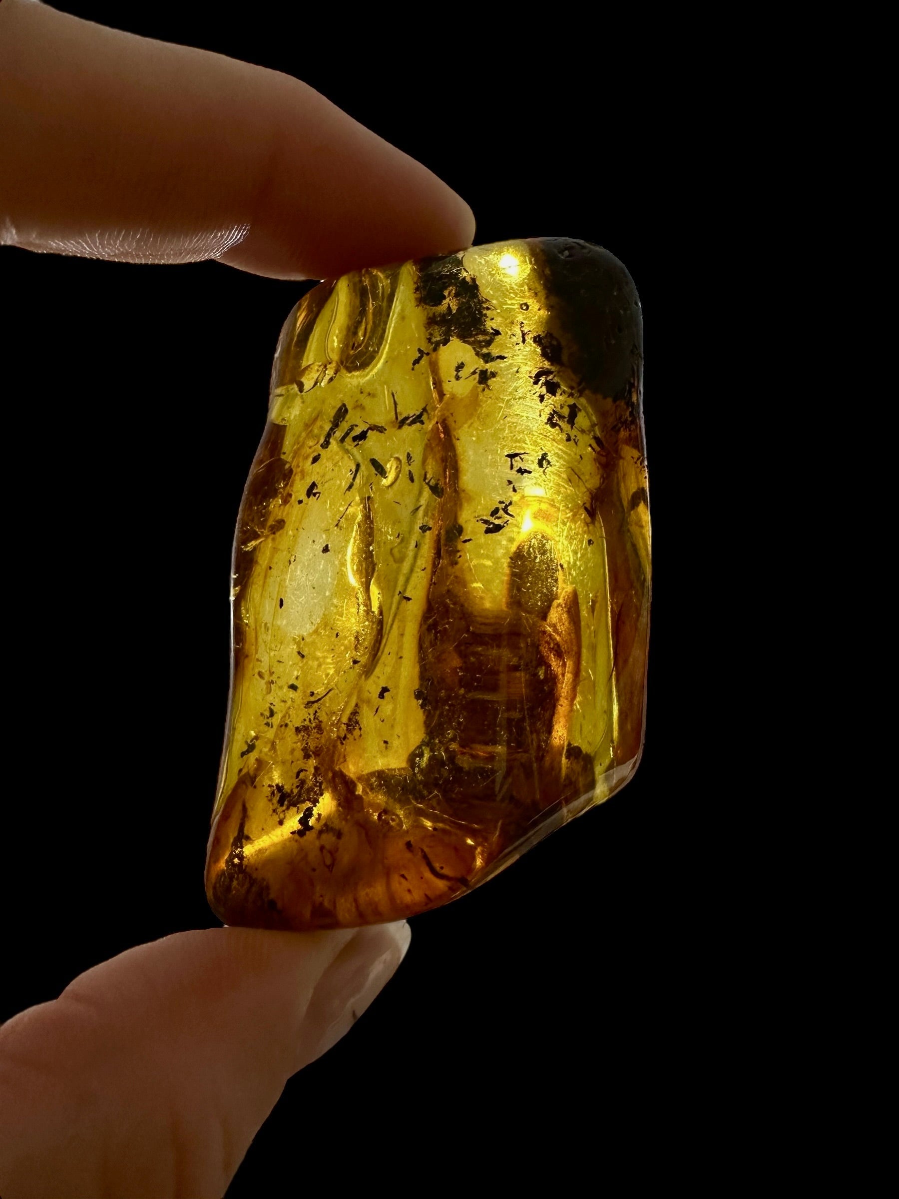 Amber – Lithuania – 26,5g – Extra quality - JN441