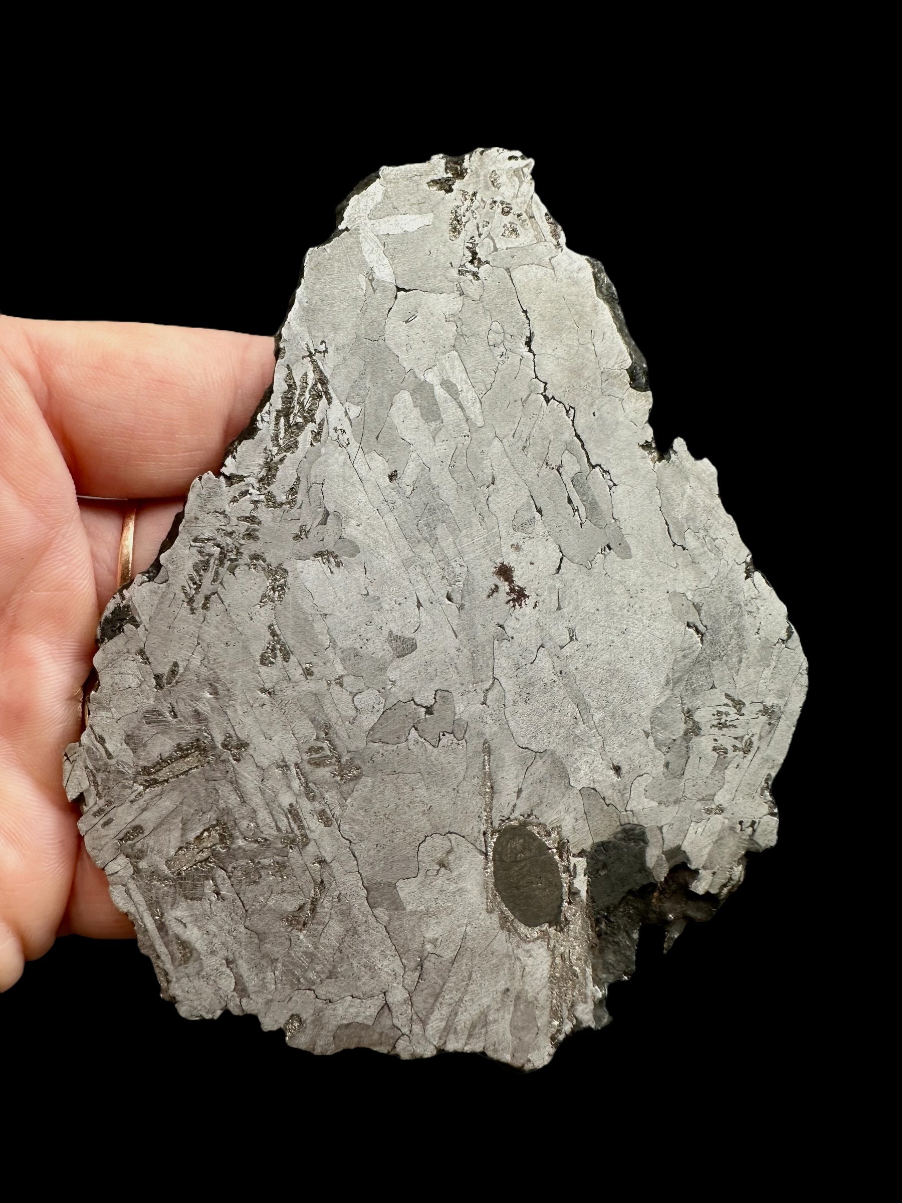 Meteorite Nantan slice 97,3g – Guangxi, China - MENA24