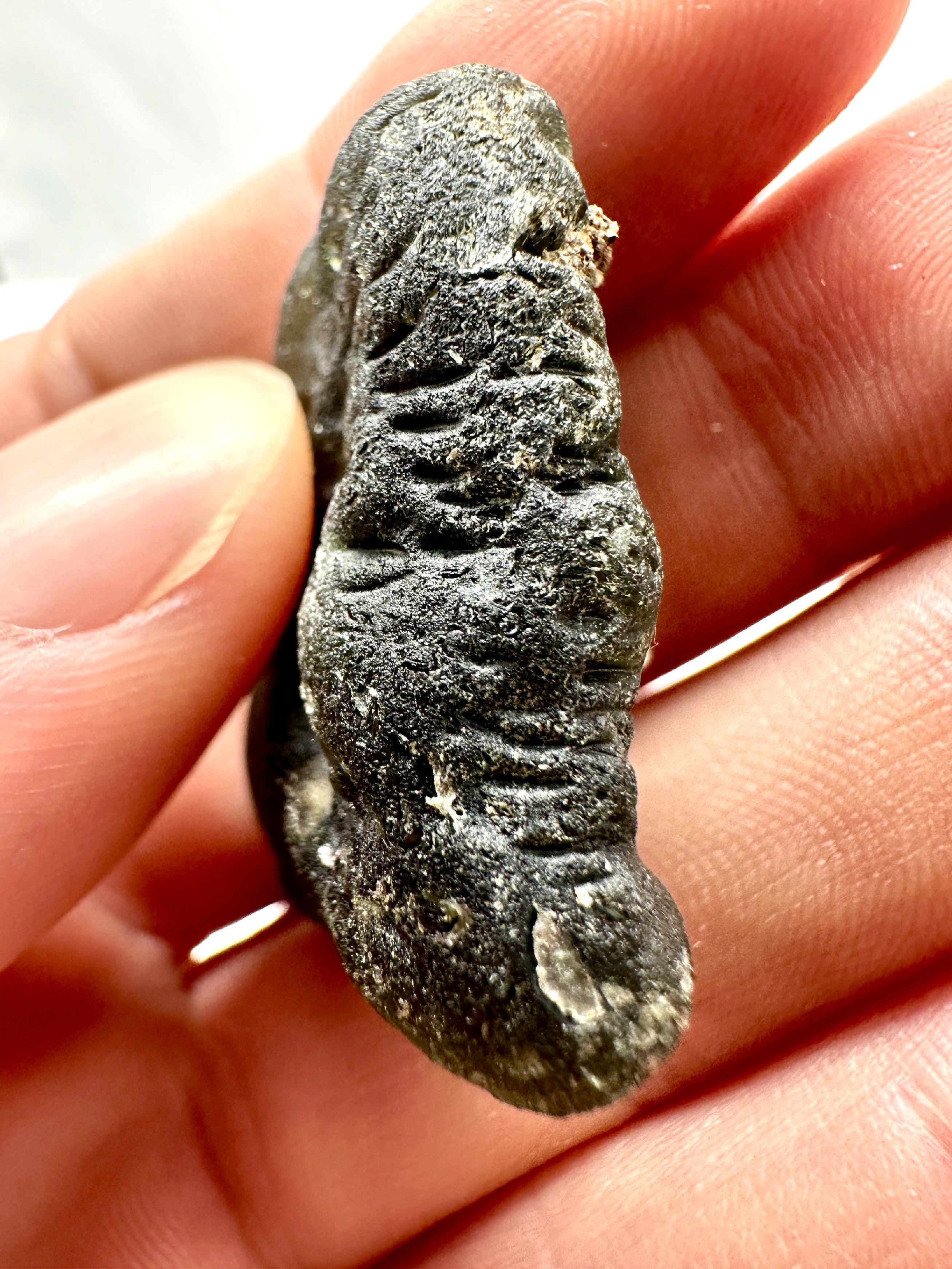 Moldavite – Plastovice – 15,9g - V1146