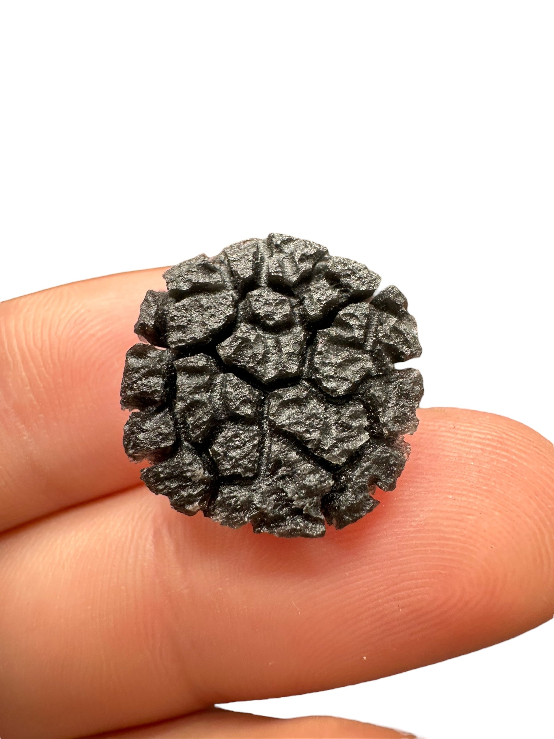 Carpathian obsidian 2,7g (Hedgehog) – Slovakia - OBJ113