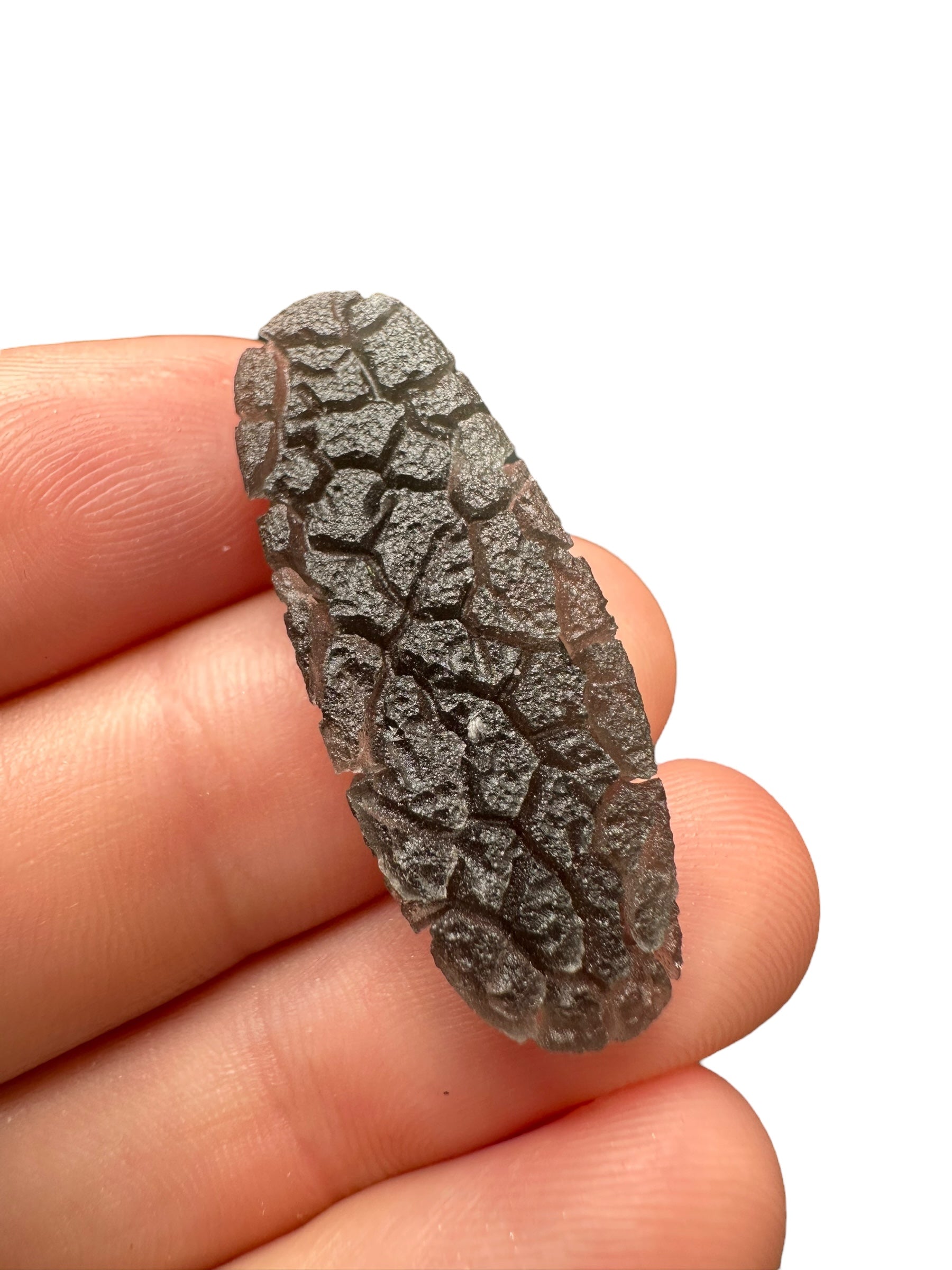 Carpathian obsidian 4,1g (Hedgehog) – Slovakia - OBJ128