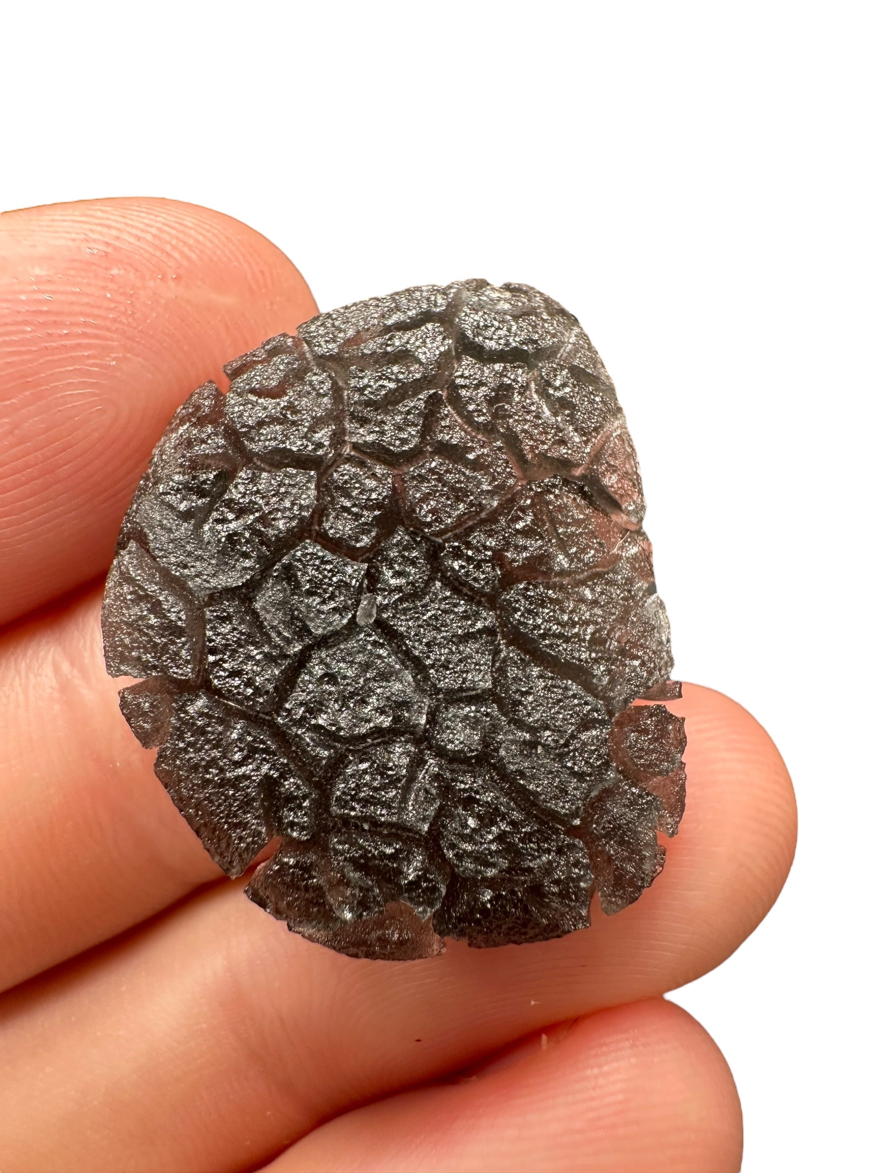 Carpathian obsidian 4,9g (Hedgehog) – Slovakia - OBJ129