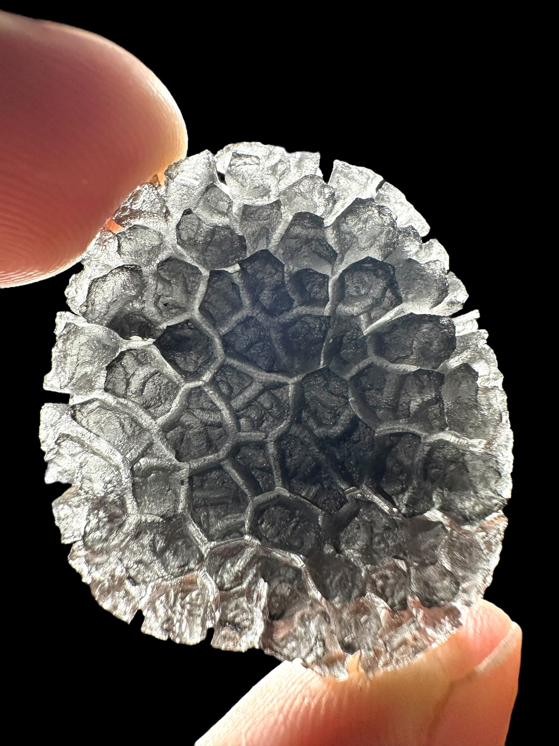 Carpathian obsidian 10,3g (Hedgehog) – Slovakia