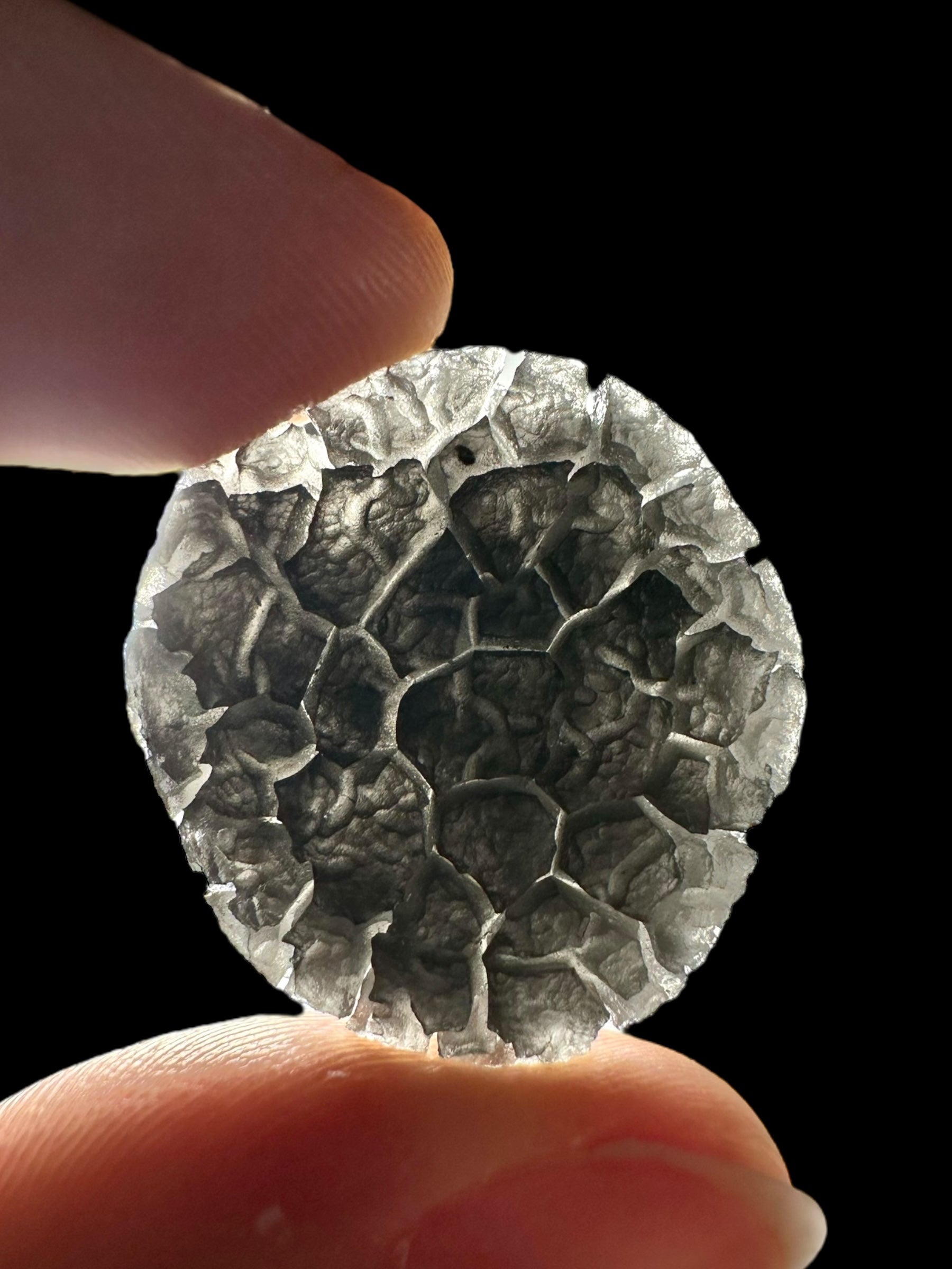 Carpathian obsidian 6,2g (Hedgehog) – Slovakia