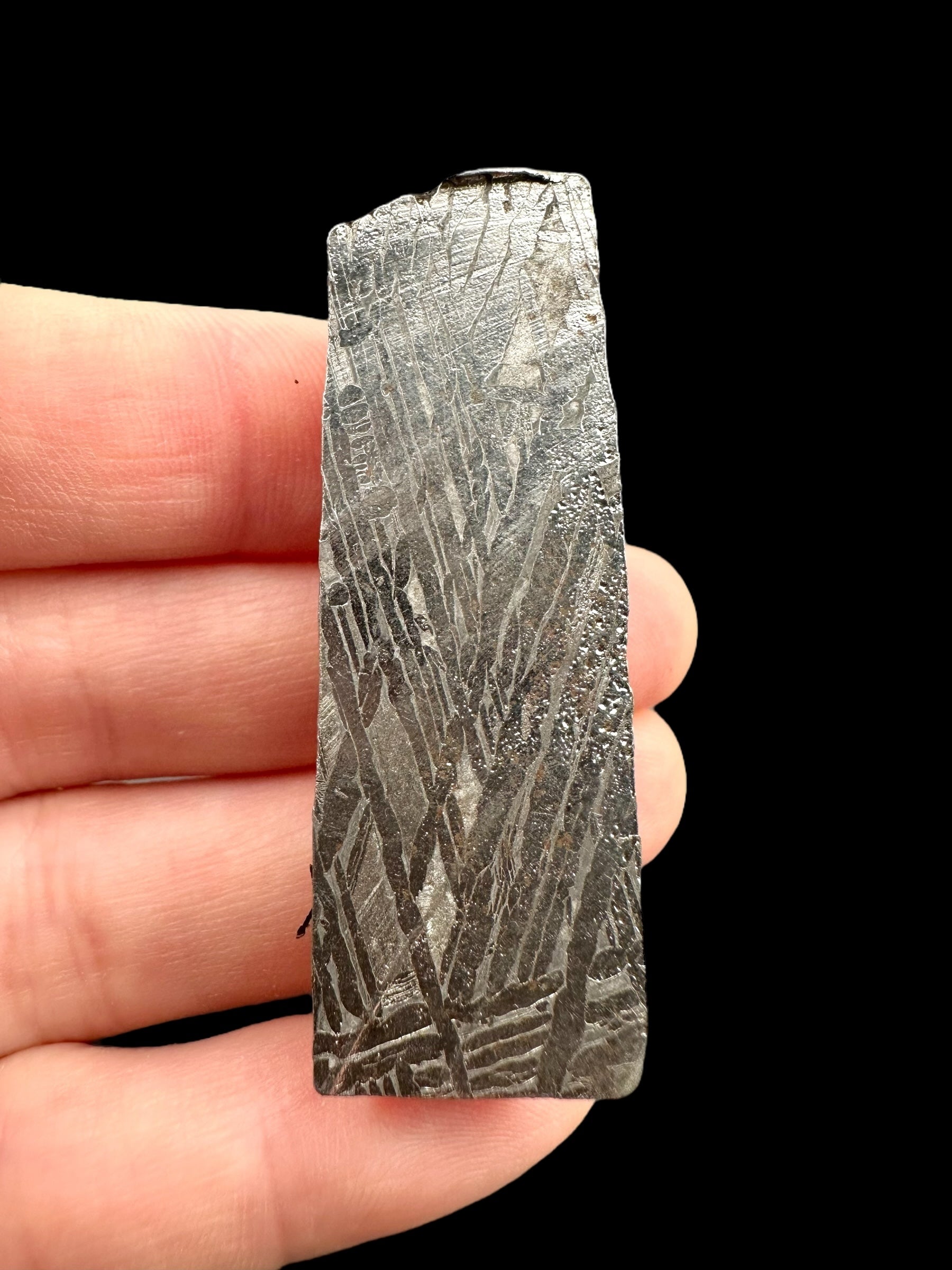 Meteorite Aletai 29,6g – Xinjiang, China - MEAL82