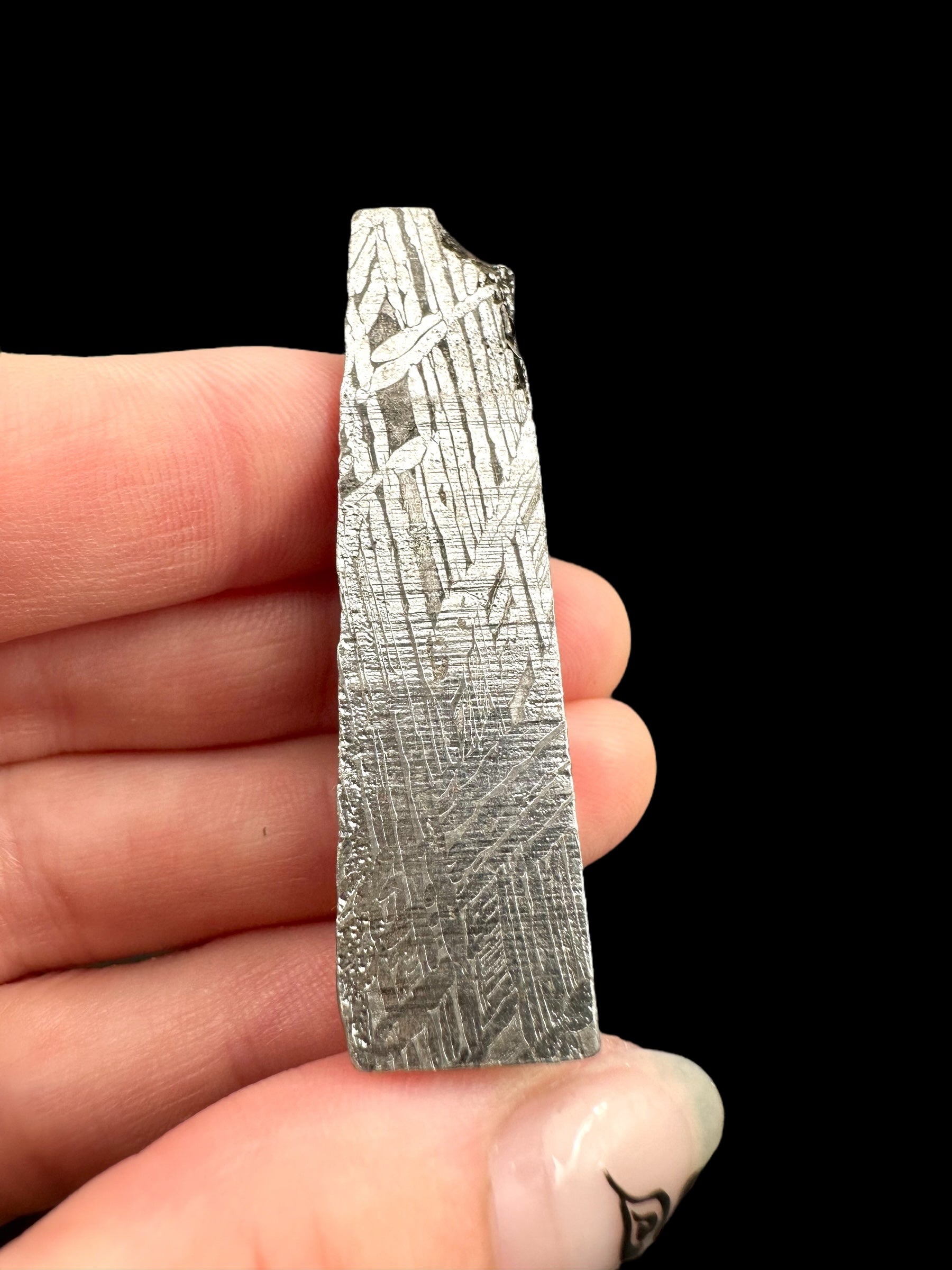 Meteorite Aletai 29,6g – Xinjiang, China - MEAL82