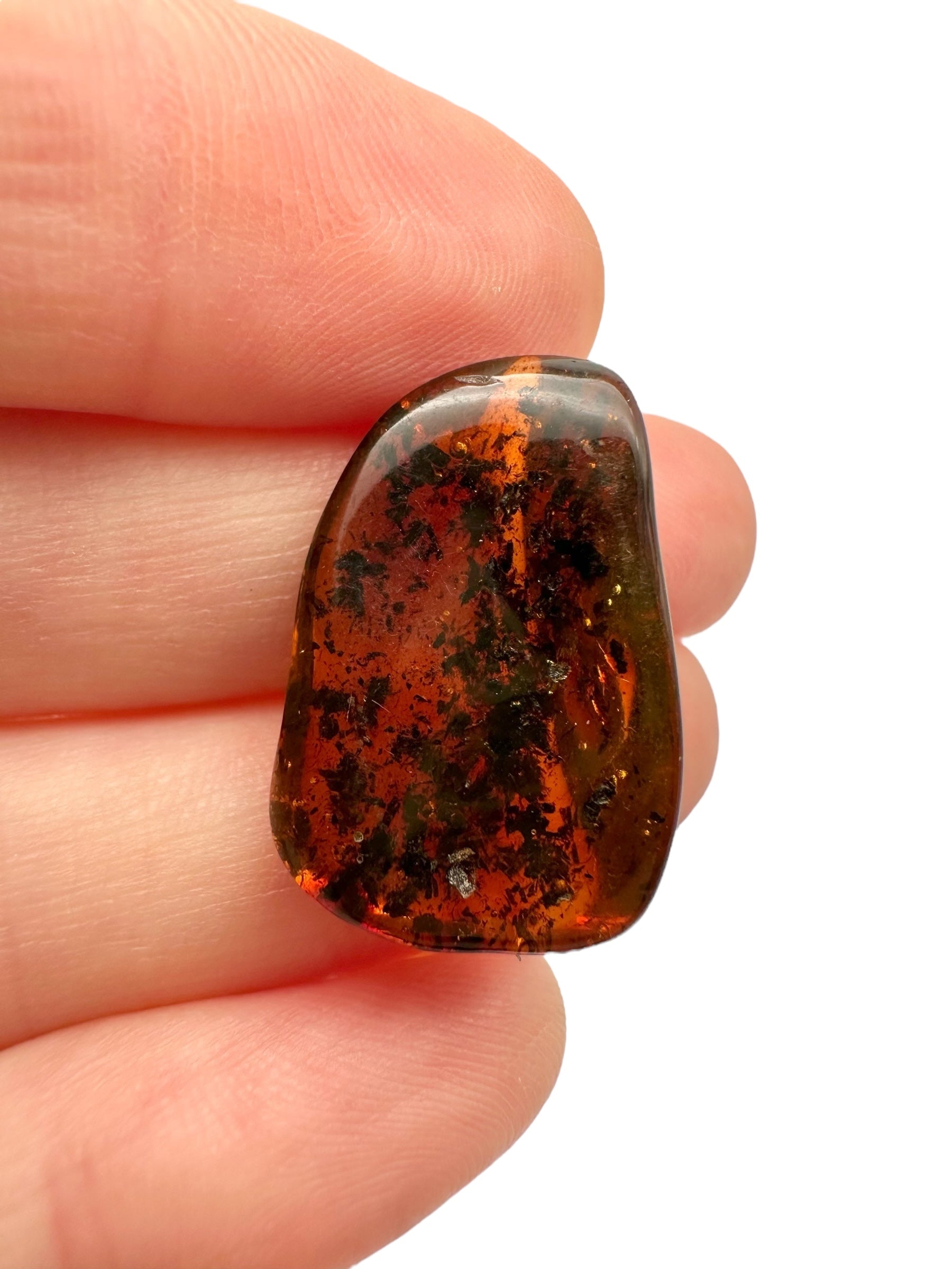 Amber – Lithuania – 1,5g - JN444