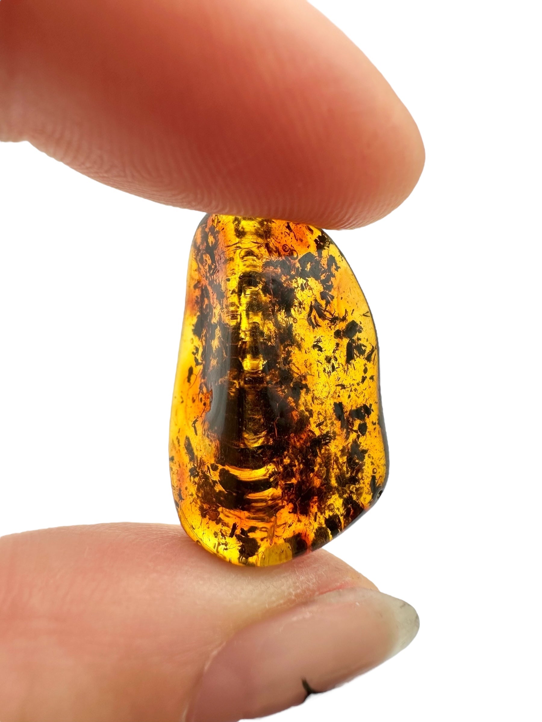 Amber – Lithuania – 1,5g - JN444