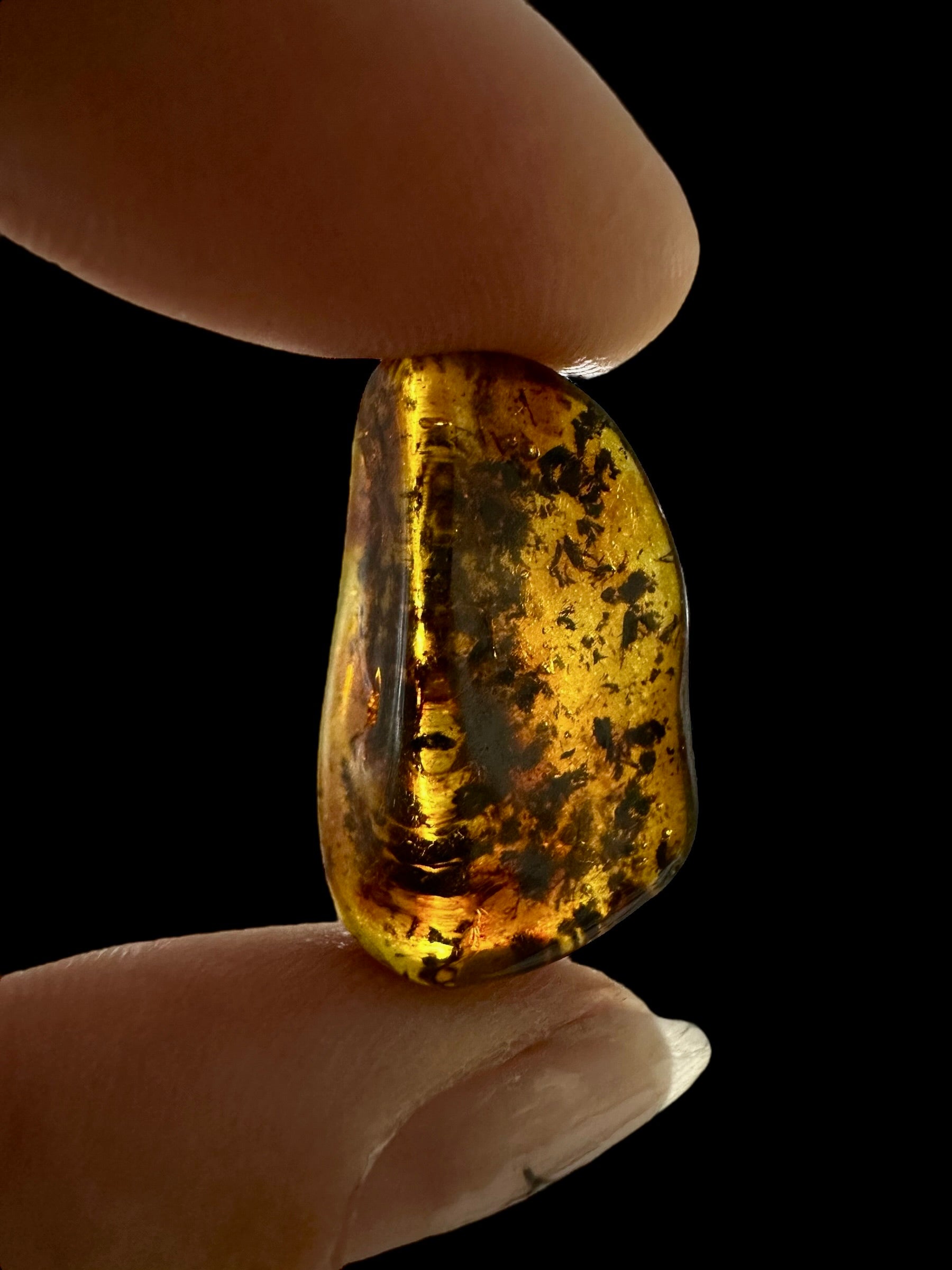 Amber – Lithuania – 1,5g - JN444