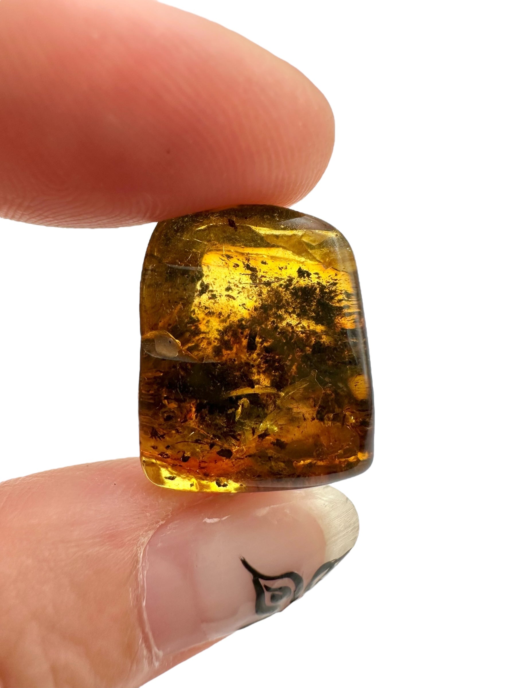 Amber – Lithuania – 2g - JN447