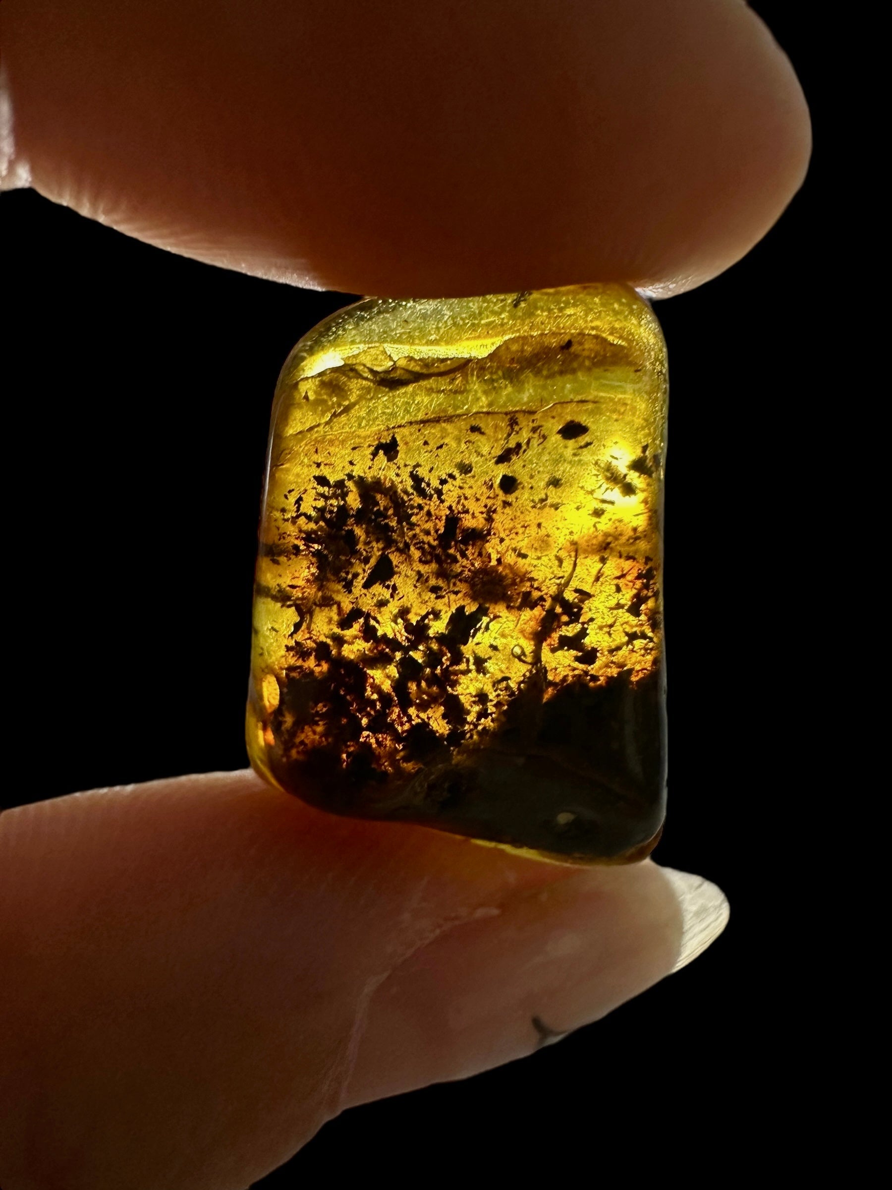 Amber – Lithuania – 2g - JN447