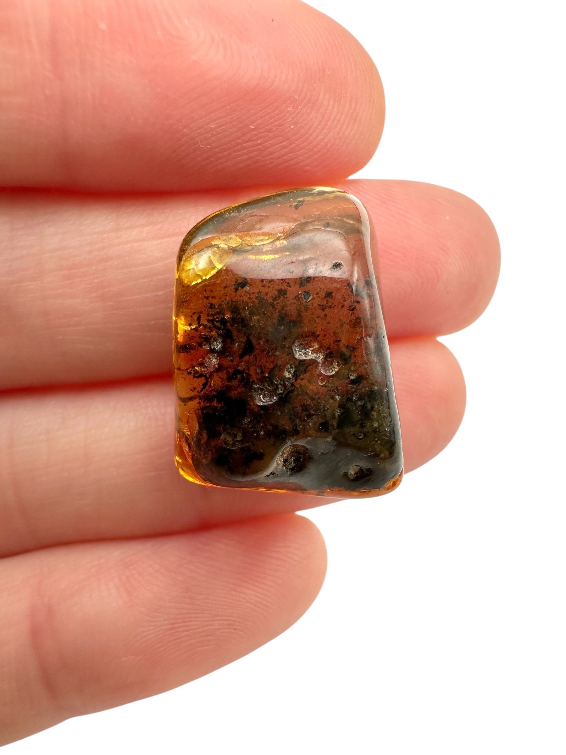 Amber – Lithuania – 2g - JN447