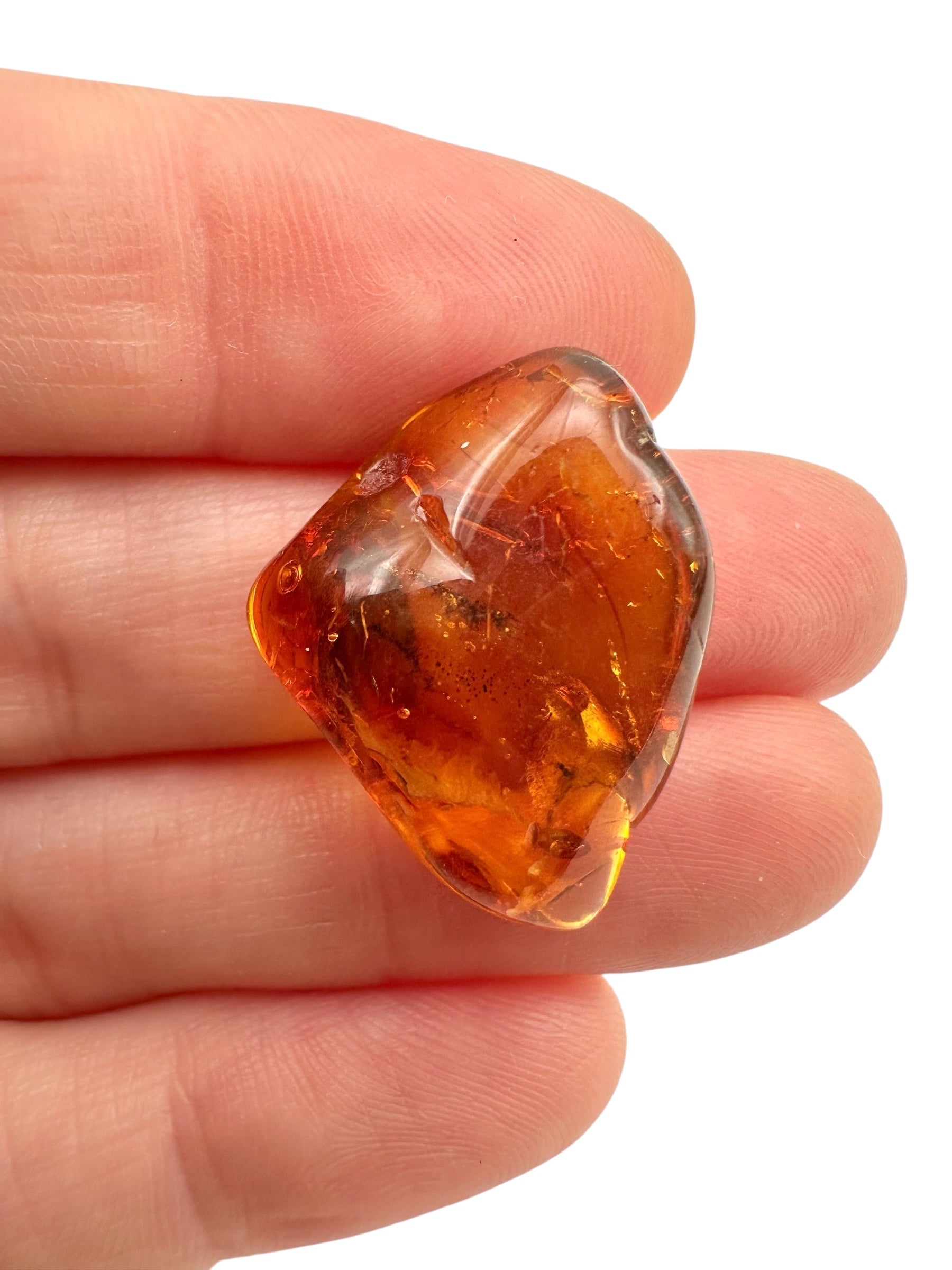 Amber – Lithuania – 1,8g - JN449