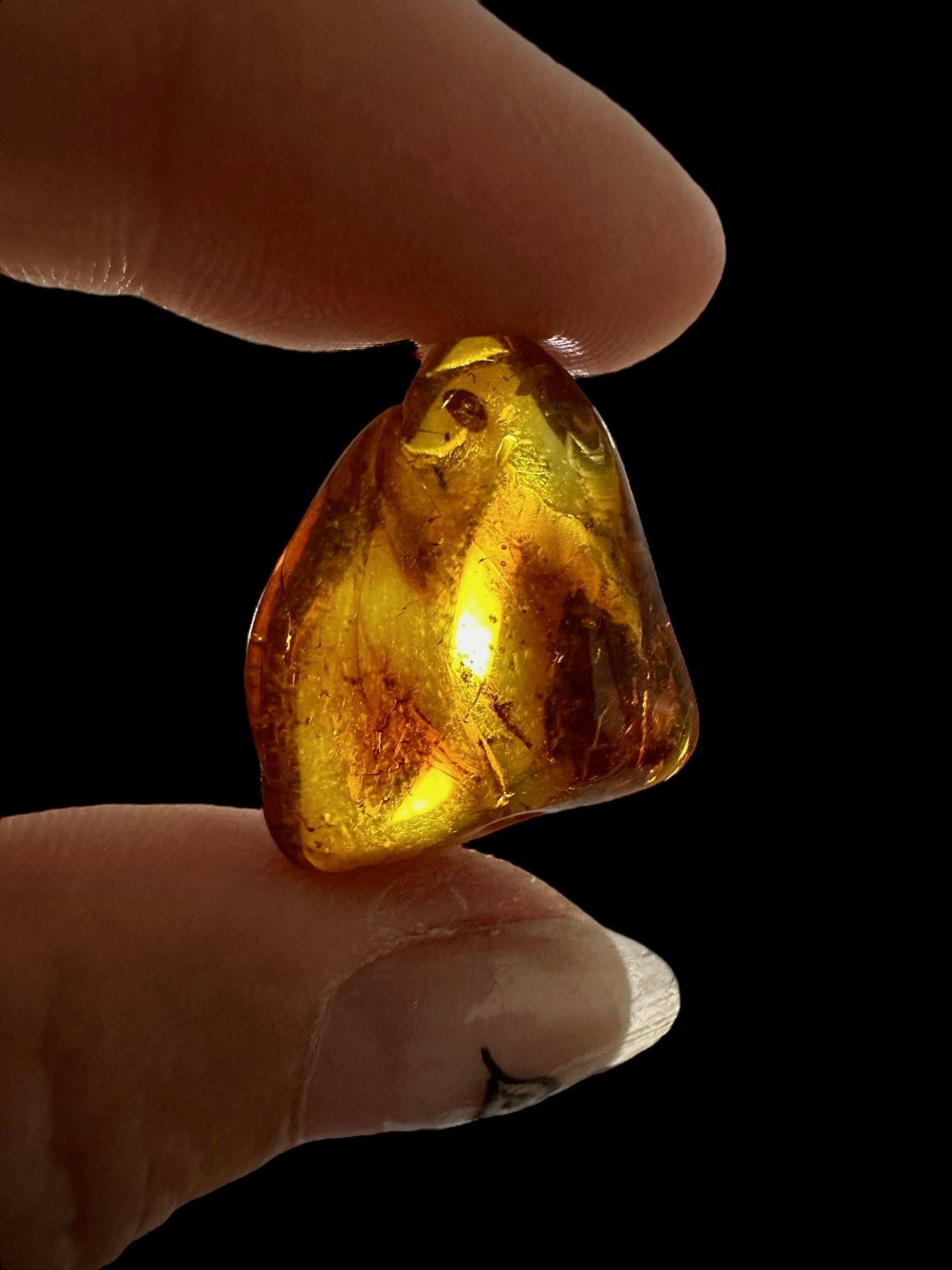 Amber – Lithuania – 1,8g - JN449