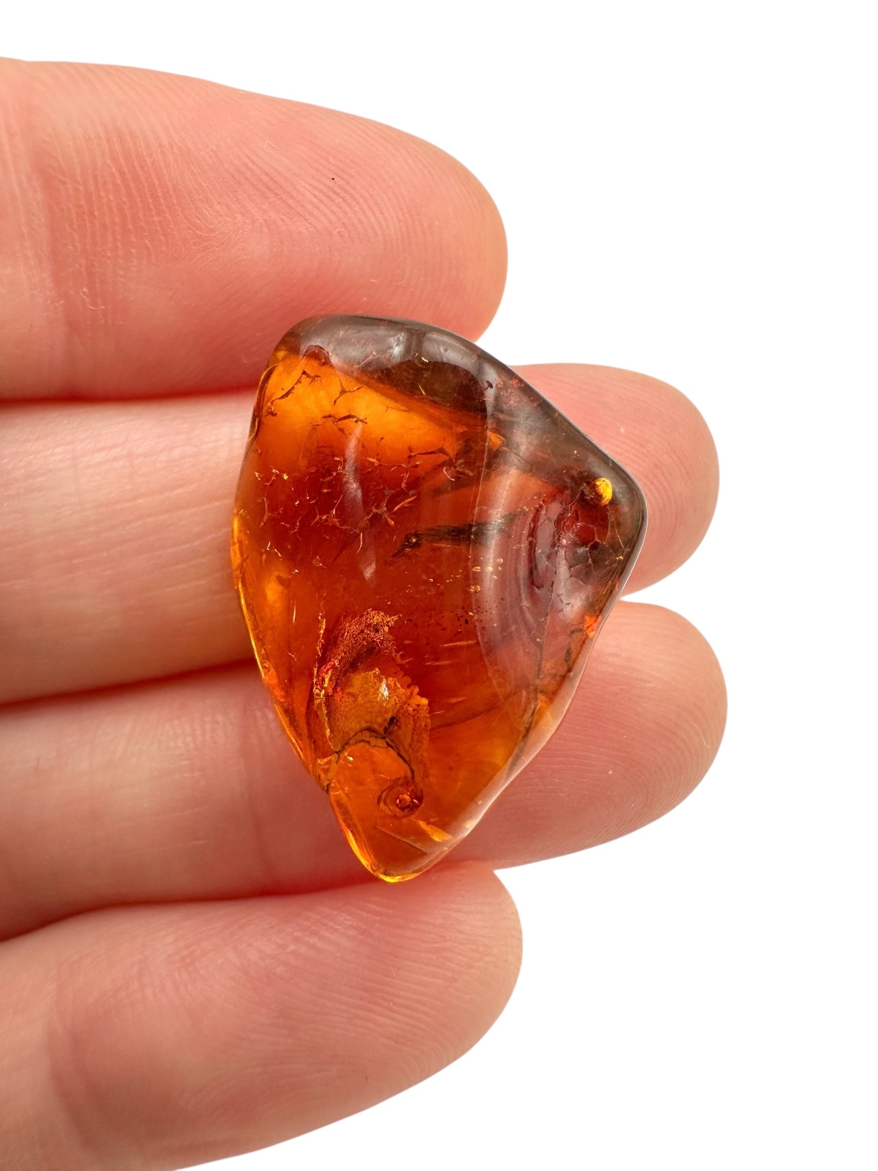 Amber – Lithuania – 1,8g