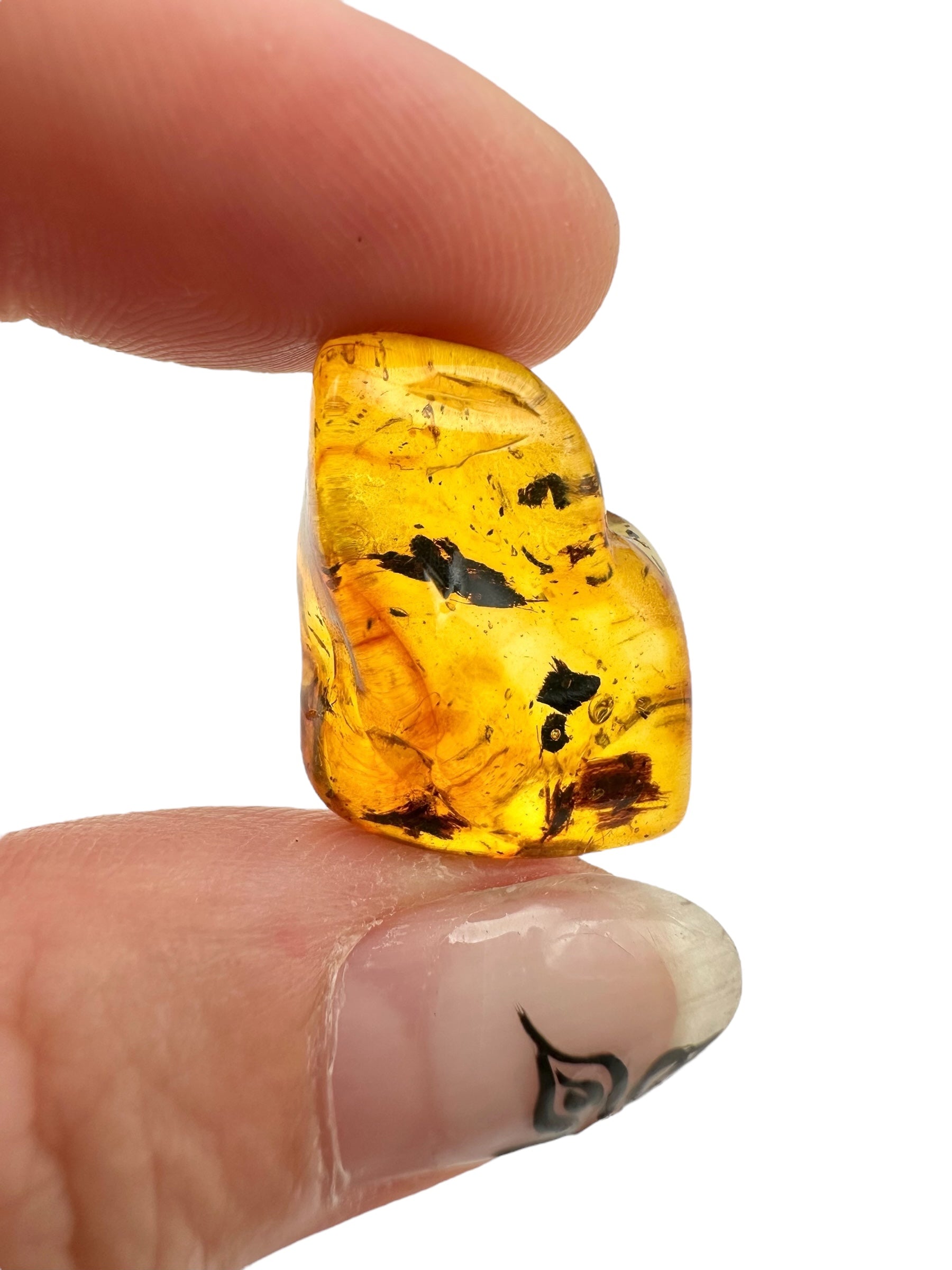 Amber – Lithuania – 2g - JN450