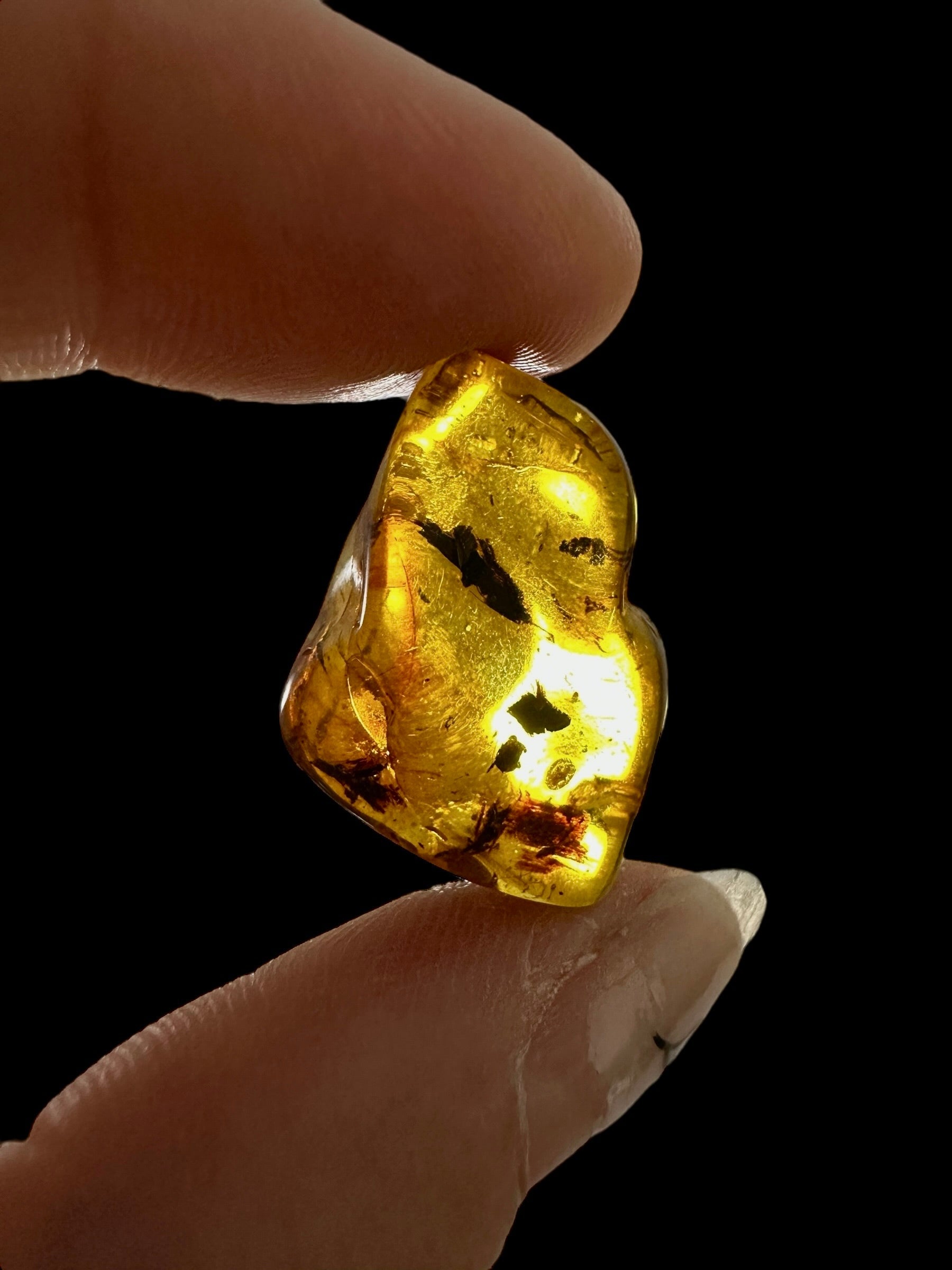 Amber – Lithuania – 2g - JN450