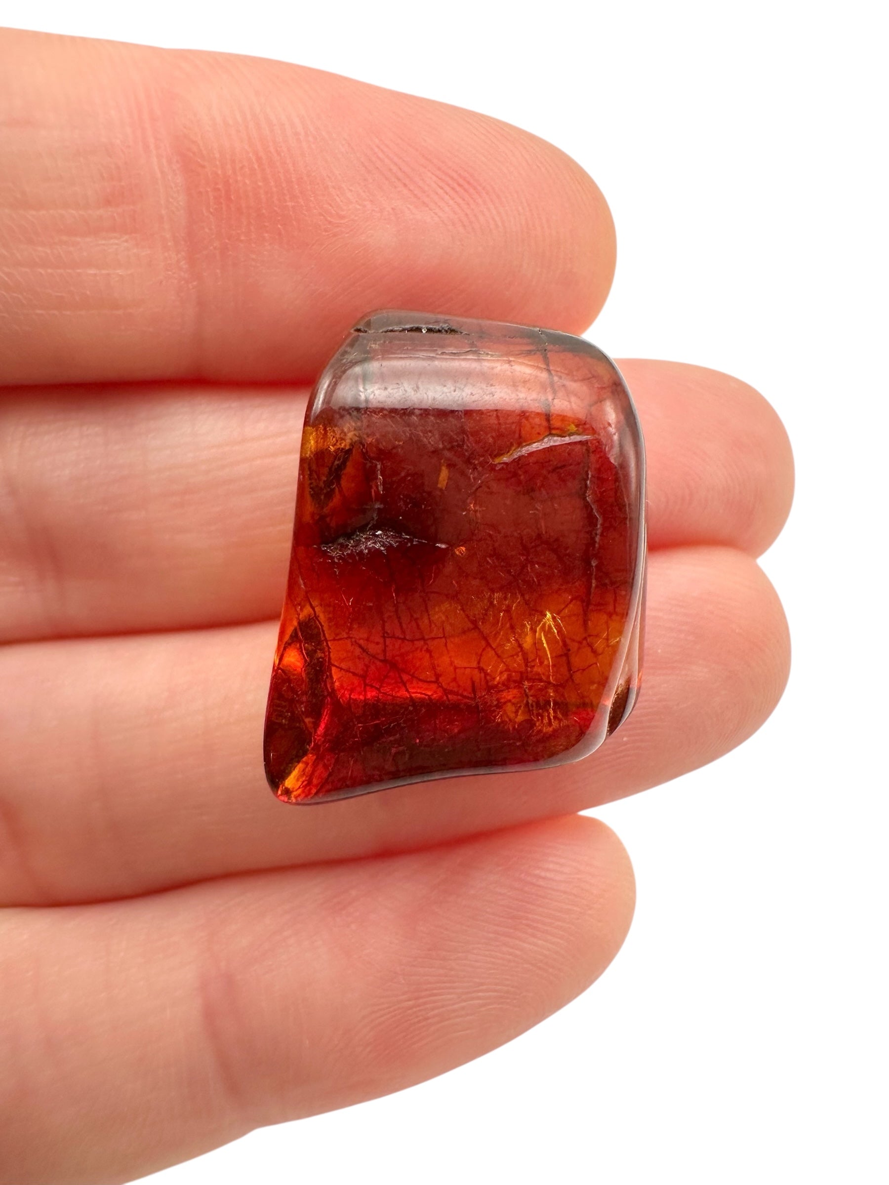 Amber – Lithuania – 2,1g - JN451