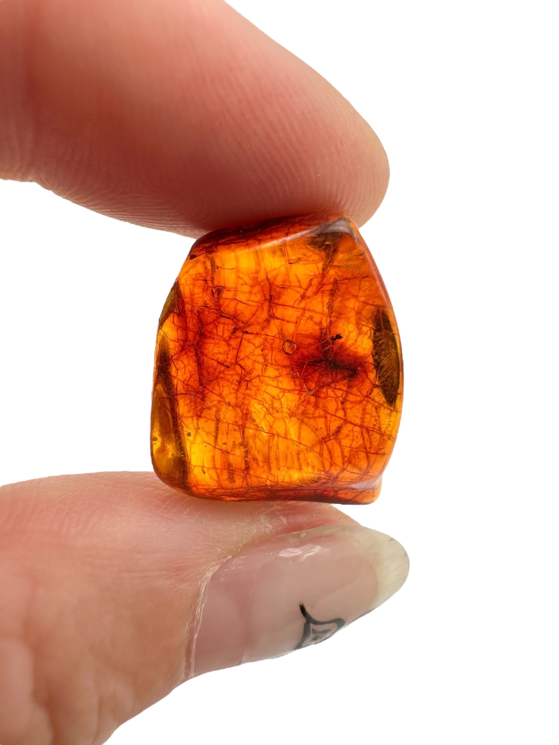 Amber – Lithuania – 2,1g - JN451