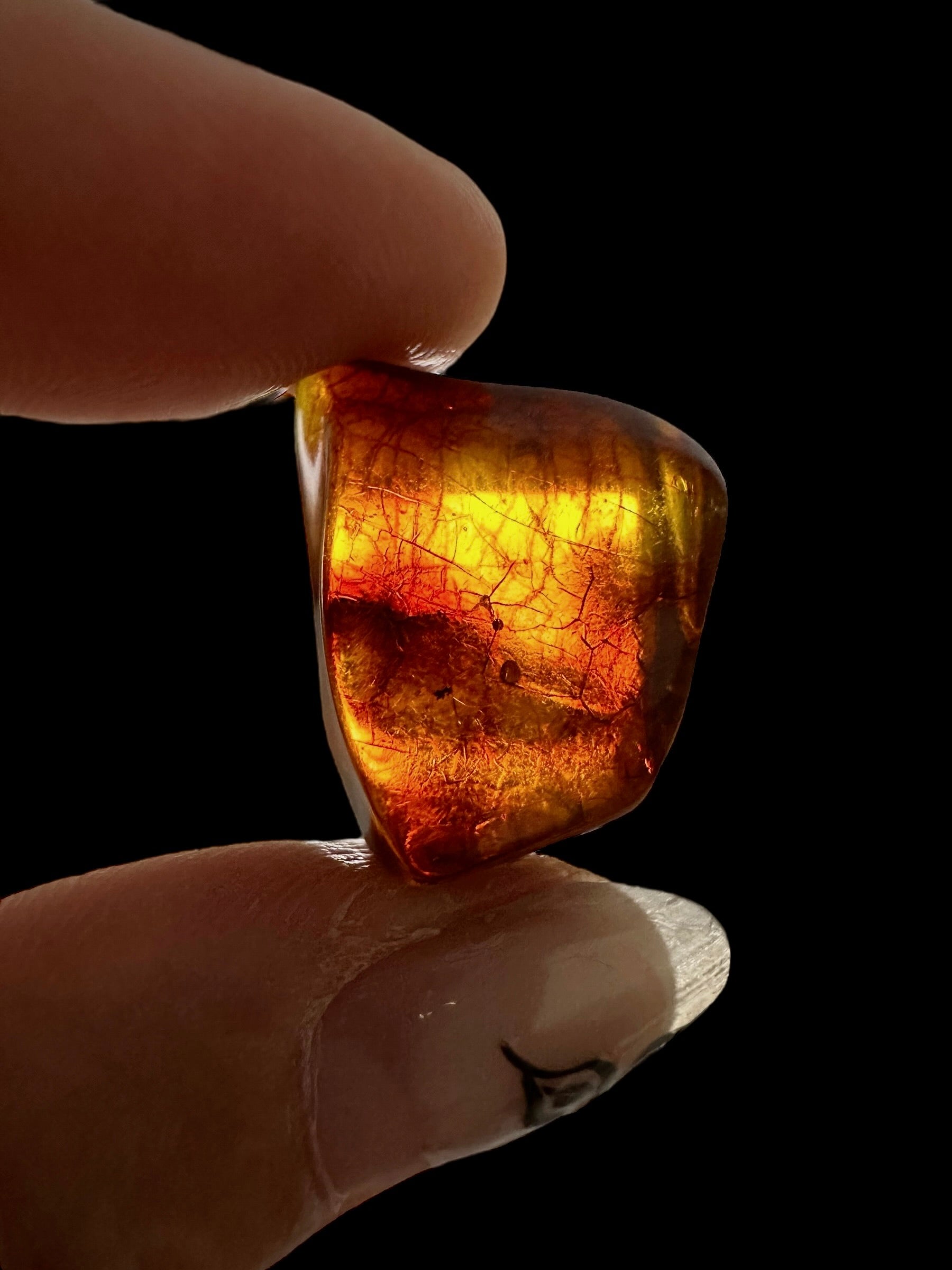 Amber – Lithuania – 2,1g - JN451