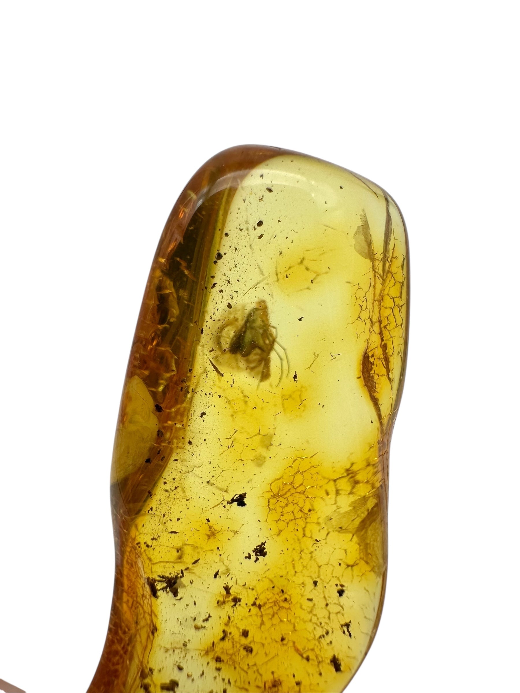 Insect in amber with a drilled hole for hanging 4,2g – Lithuania - IJD02